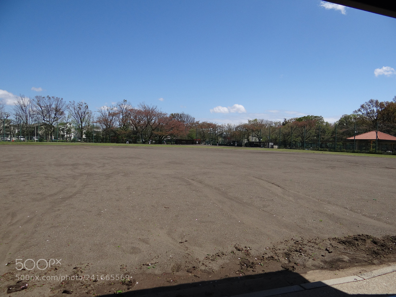 Sony DSC-HX200V sample photo. Dsc photography