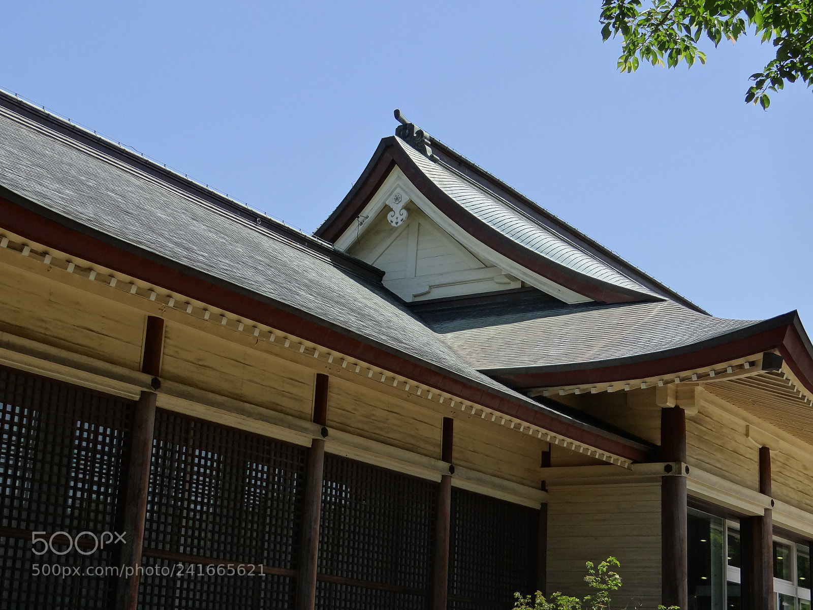Sony DSC-HX200V sample photo. Dsc photography