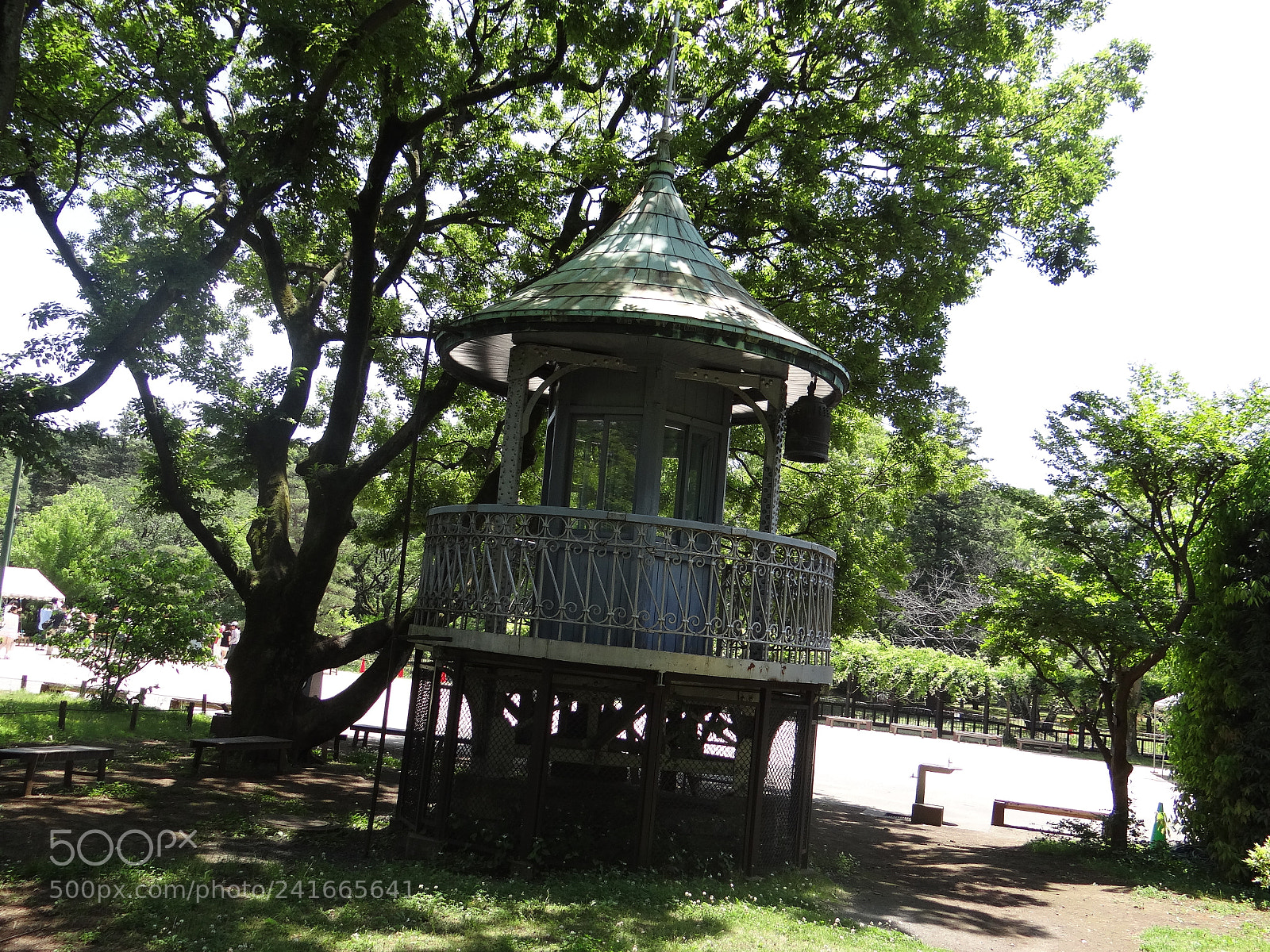 Sony DSC-HX200V sample photo. Dsc photography