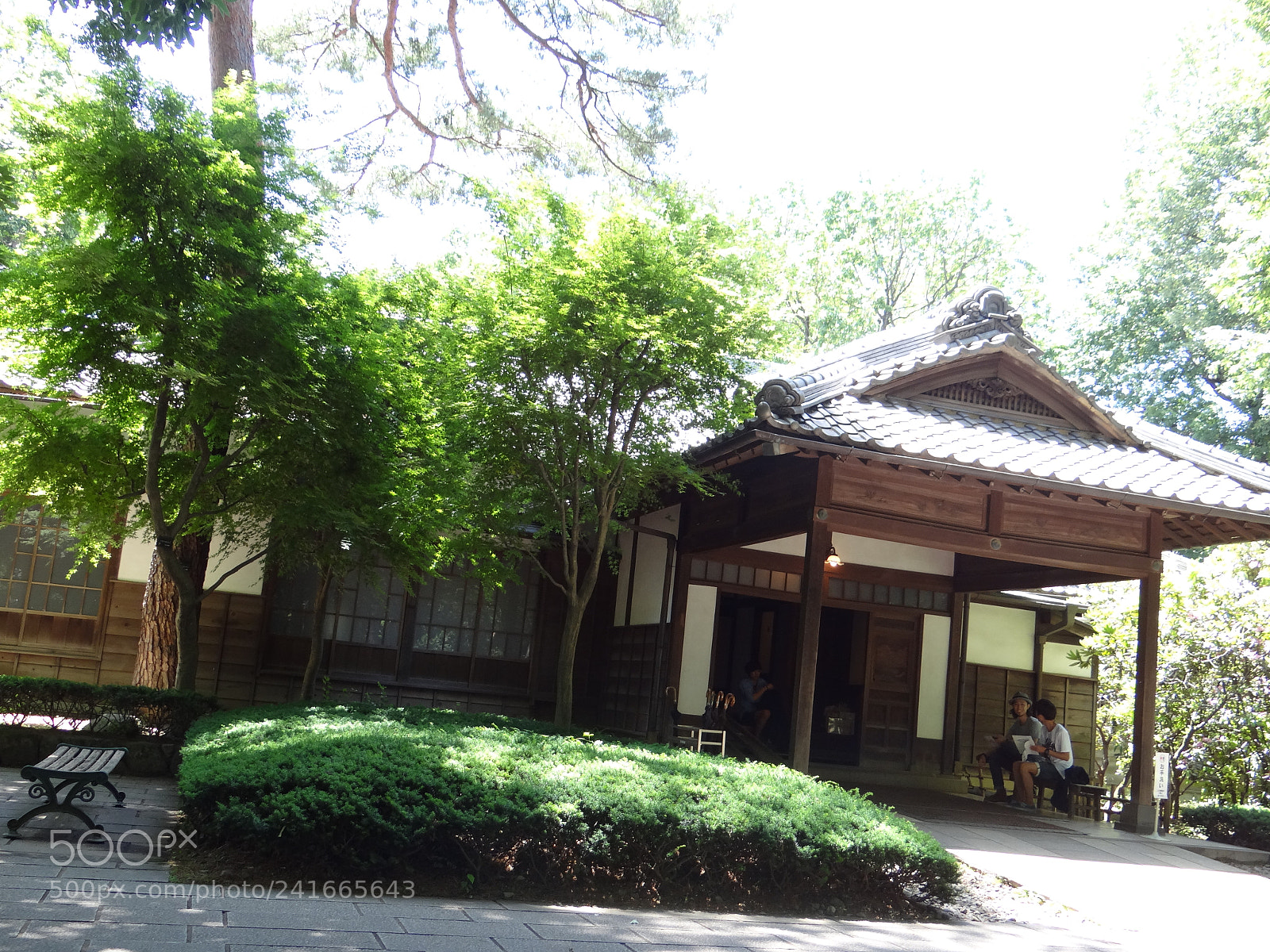 Sony DSC-HX200V sample photo. Dsc photography