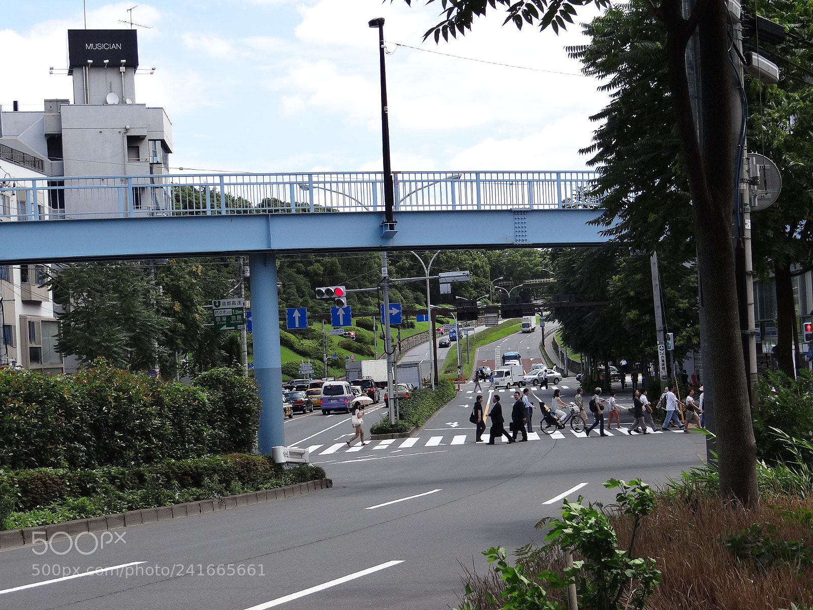 Sony DSC-HX200V sample photo. Dsc photography