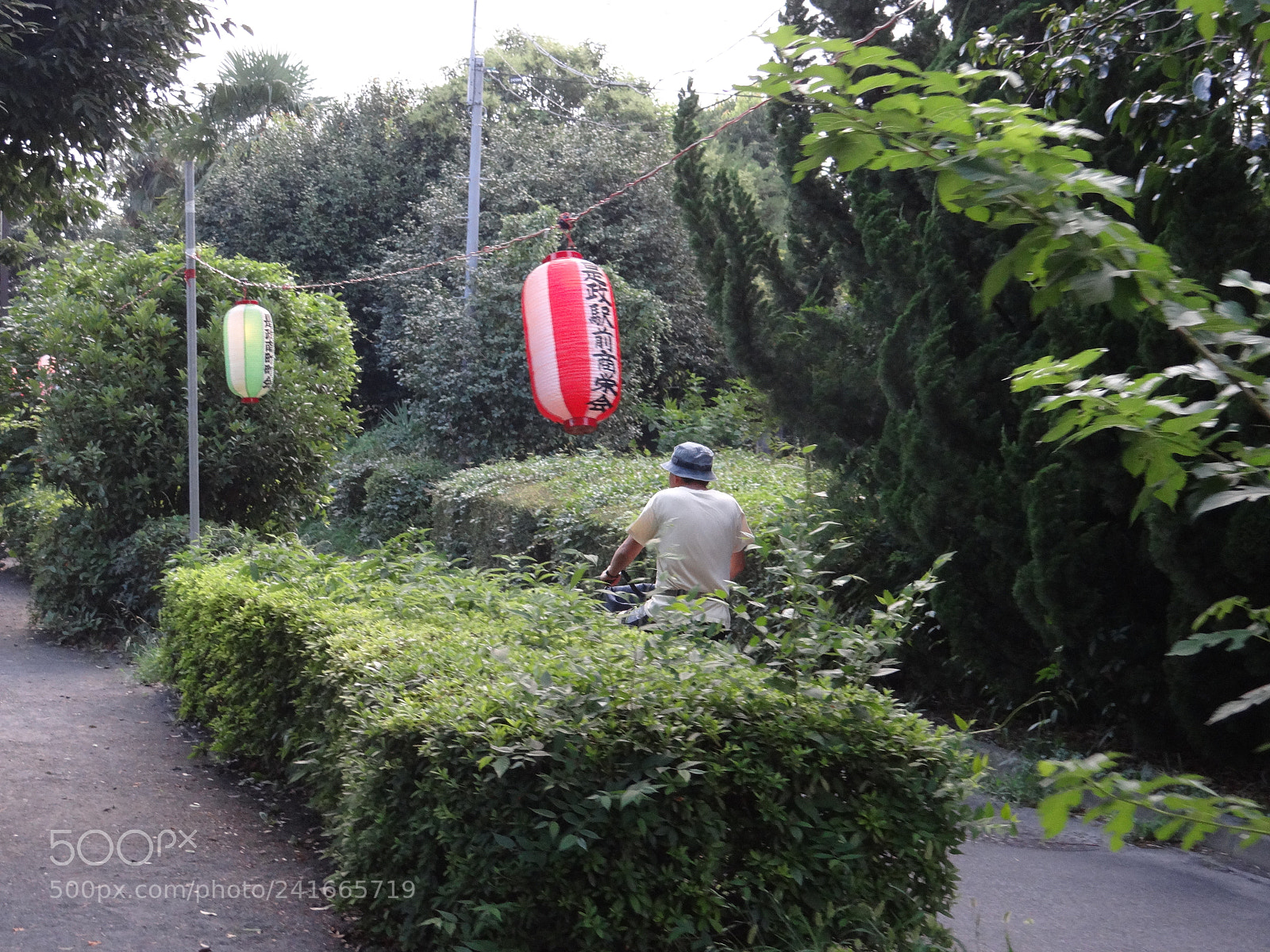 Sony DSC-HX200V sample photo. Dsc photography