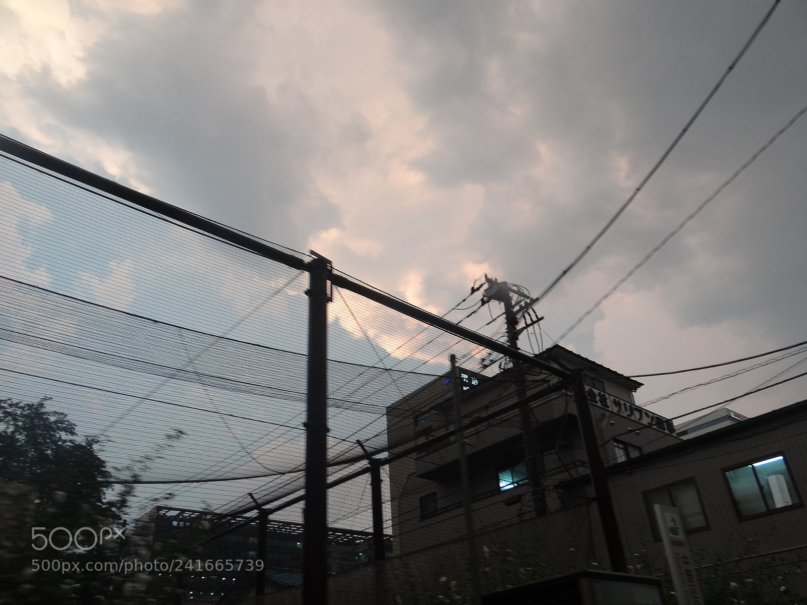 Sony DSC-HX200V sample photo. Dsc photography