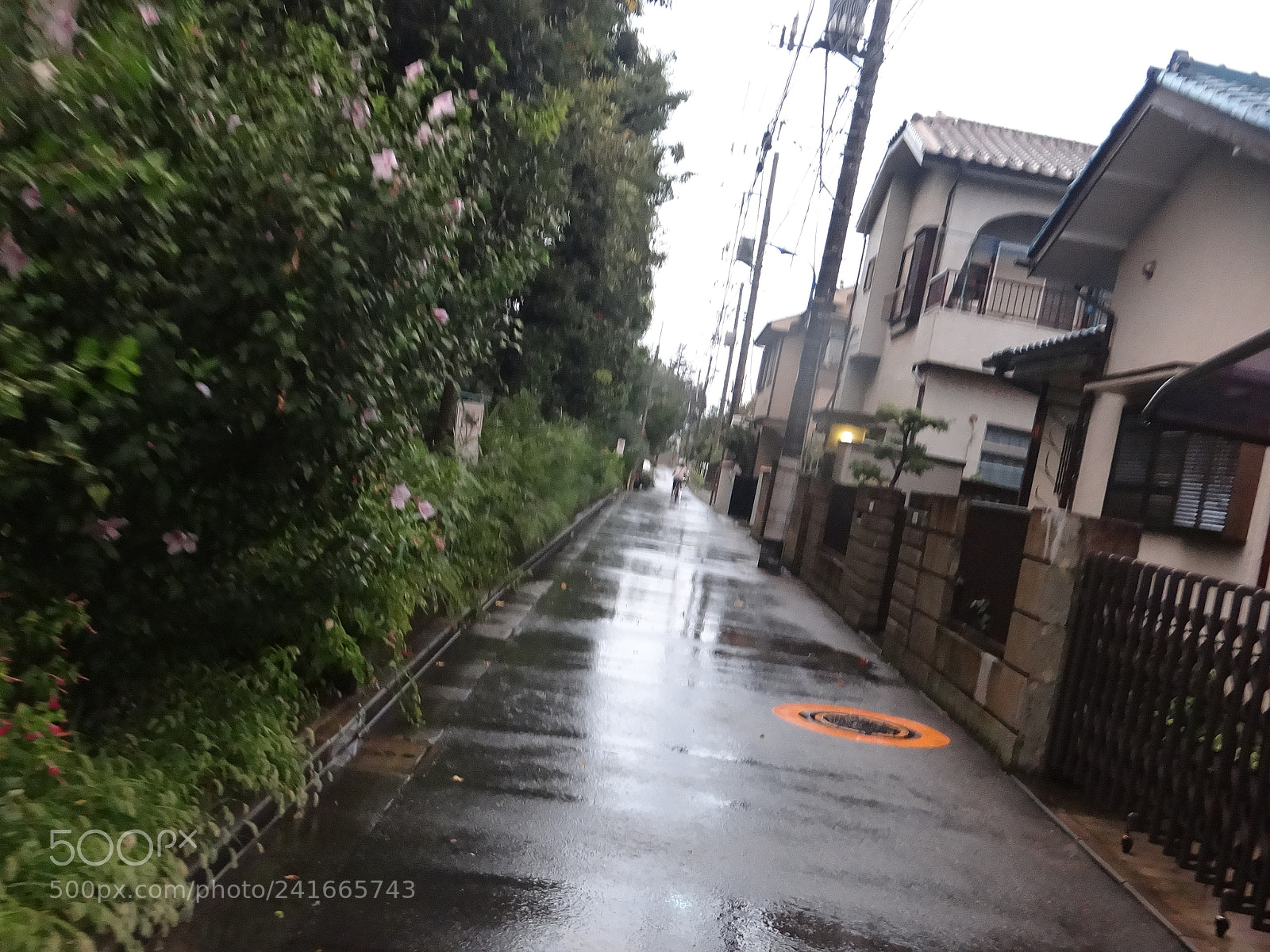 Sony DSC-HX200V sample photo. Dsc photography