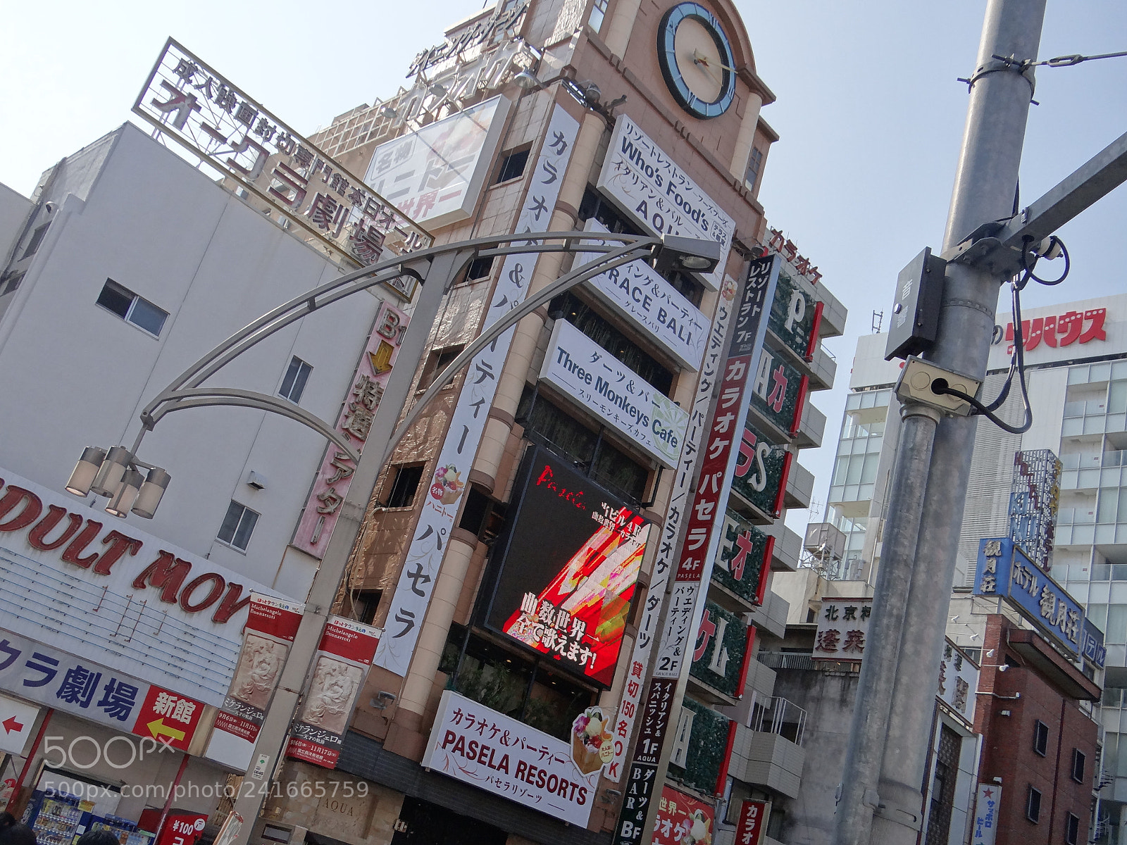 Sony DSC-HX200V sample photo. Dsc photography