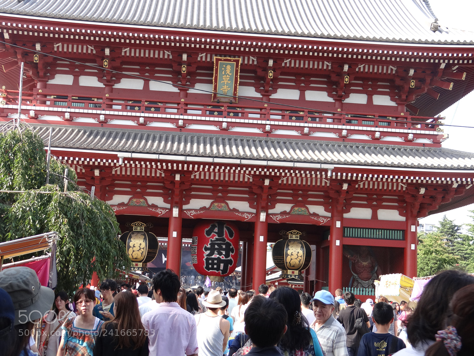 Sony DSC-HX200V sample photo. Dsc photography