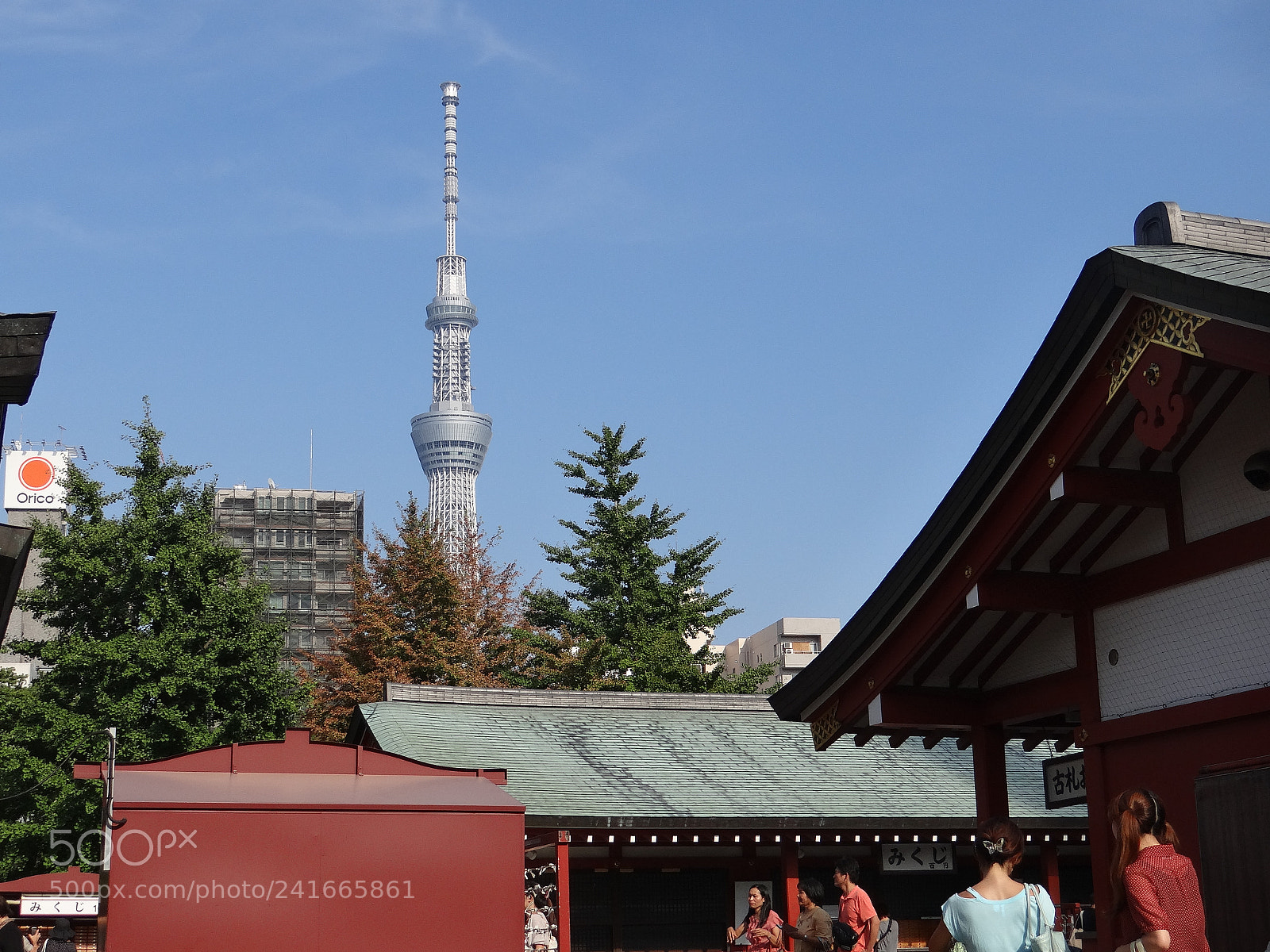 Sony DSC-HX200V sample photo. Dsc photography