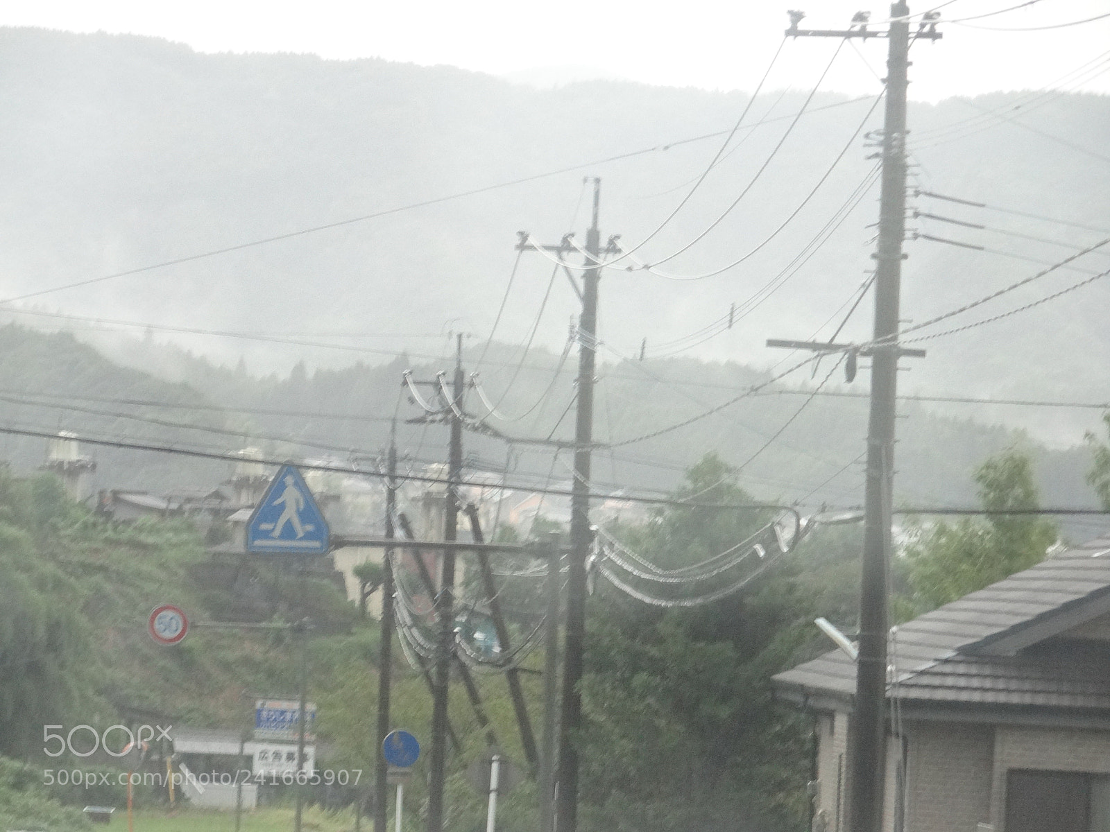 Sony DSC-HX200V sample photo. Dsc photography