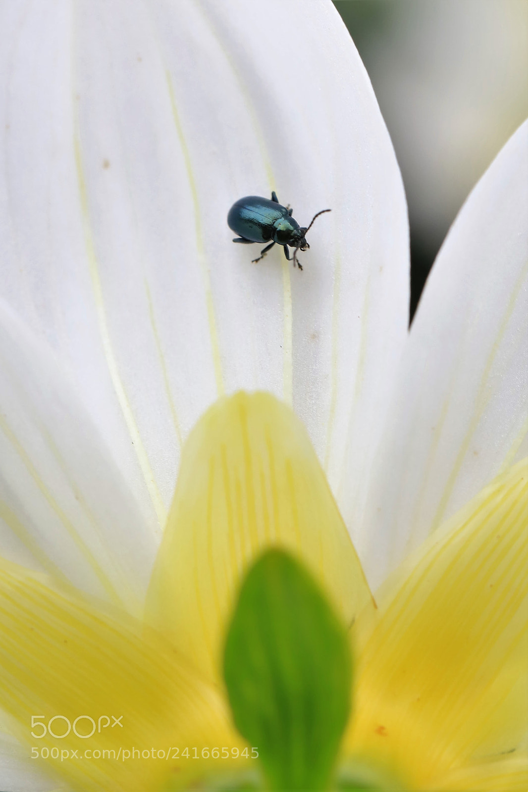 Canon EOS 6D Mark II sample photo. Steep photography