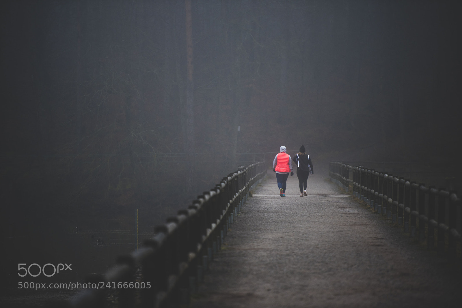Nikon D750 sample photo. Jogging in the fog photography