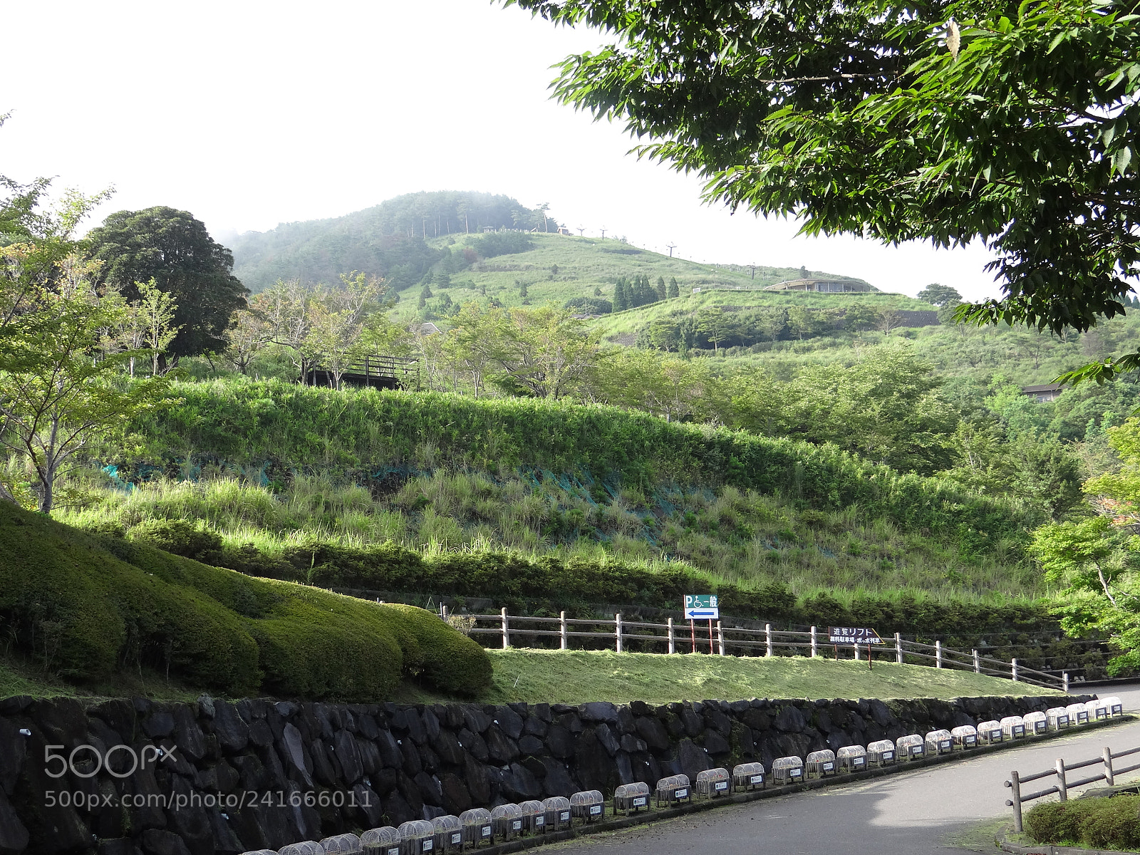 Sony DSC-HX200V sample photo. Dsc photography