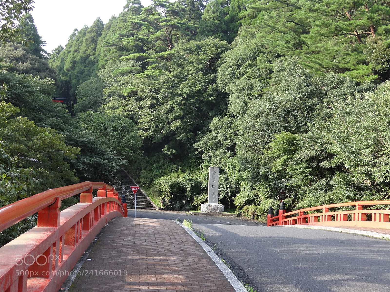 Sony DSC-HX200V sample photo. Dsc photography