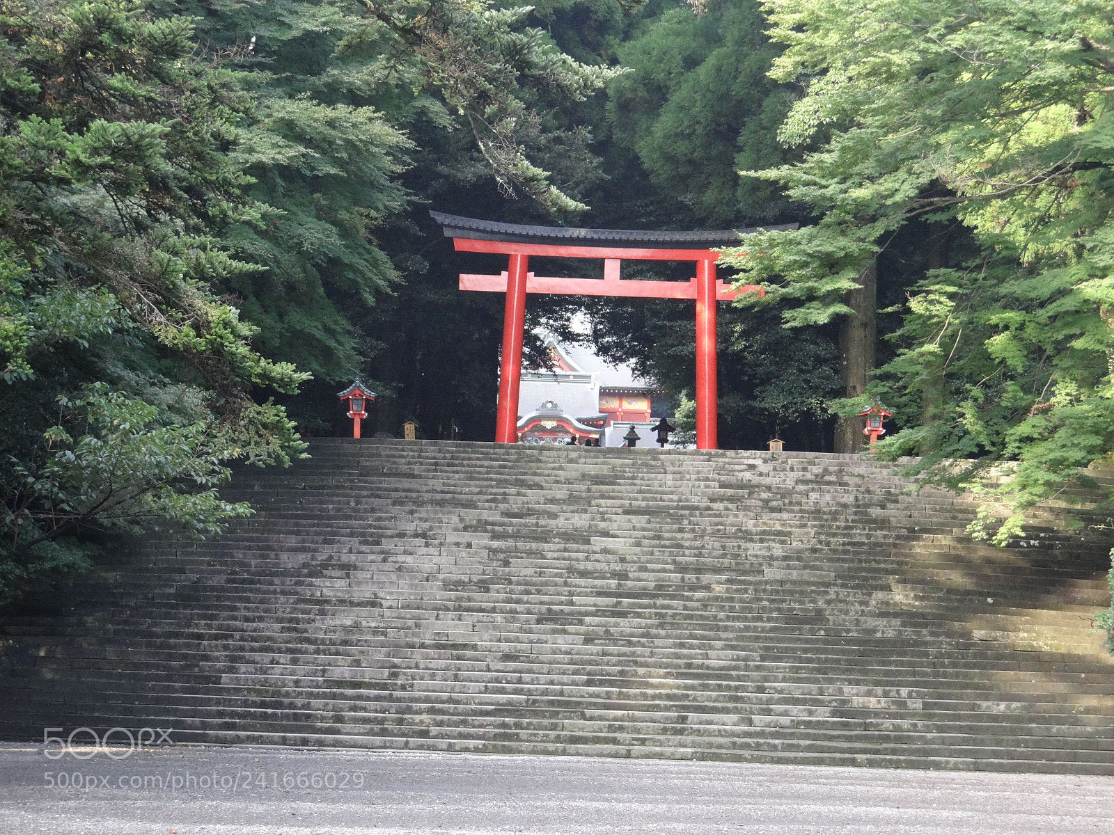 Sony DSC-HX200V sample photo. Dsc photography