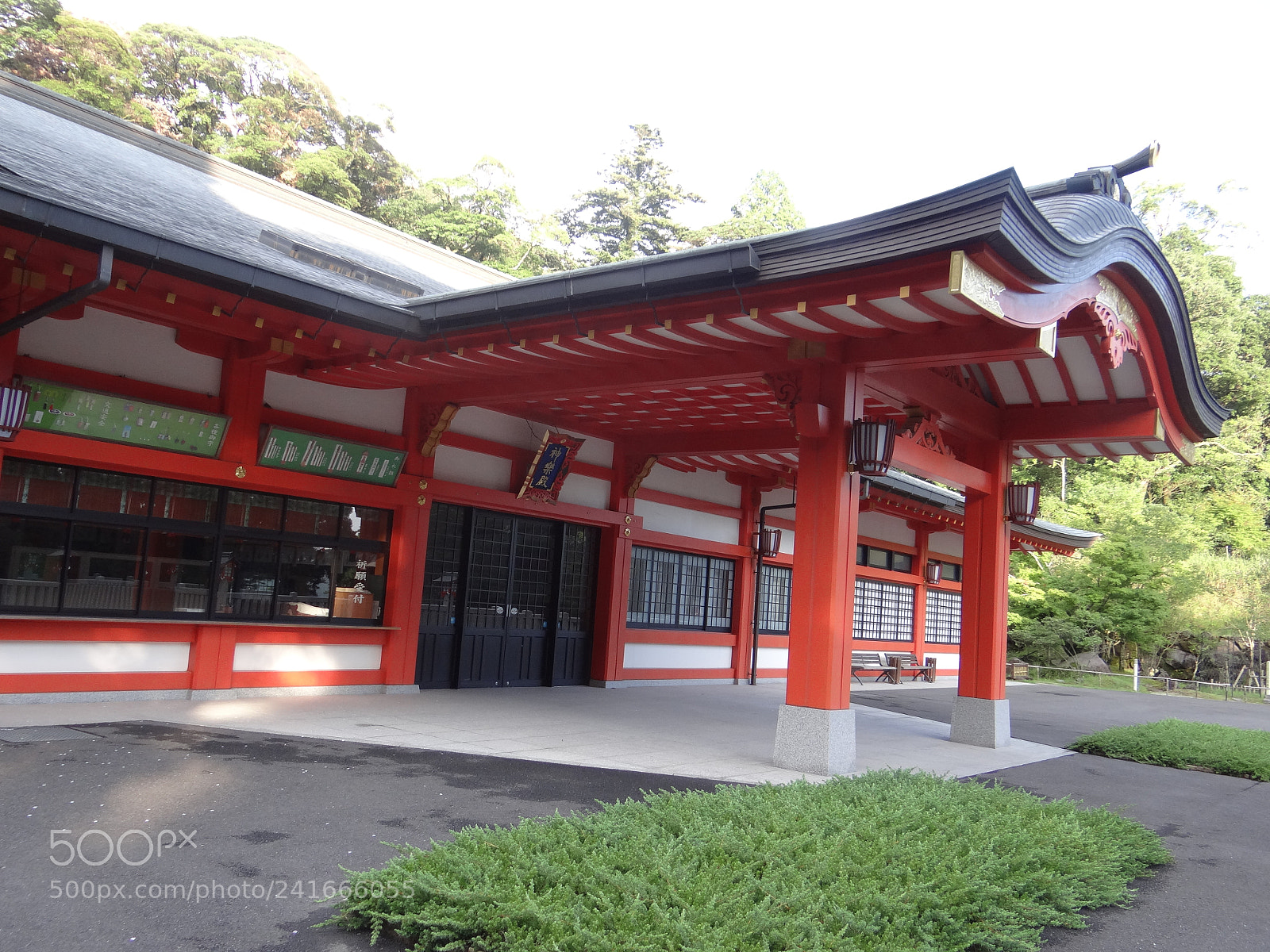 Sony DSC-HX200V sample photo. Dsc photography
