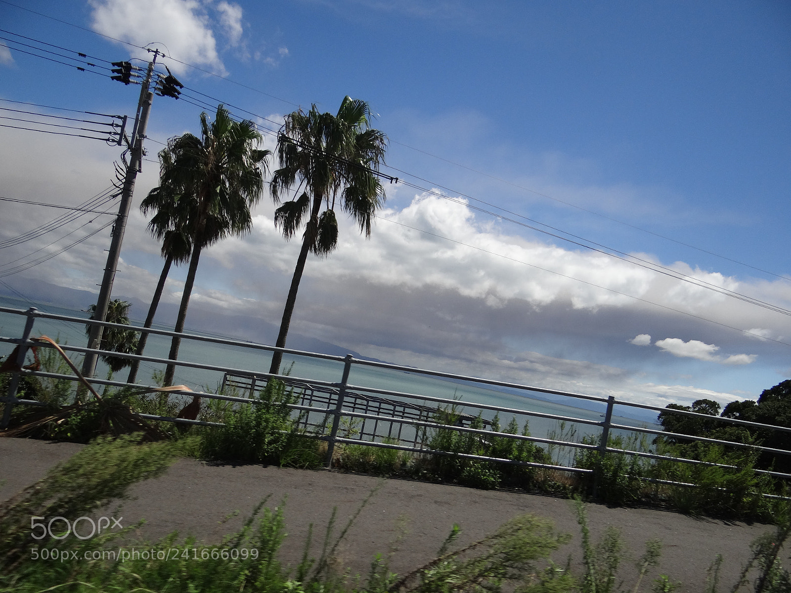 Sony DSC-HX200V sample photo. Dsc photography