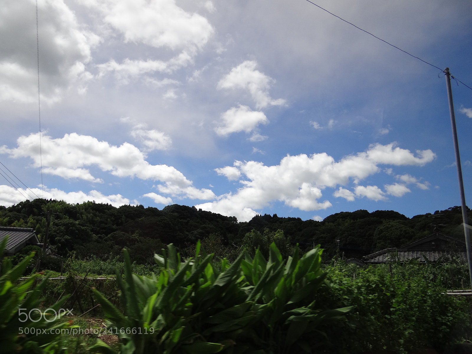 Sony DSC-HX200V sample photo. Dsc photography
