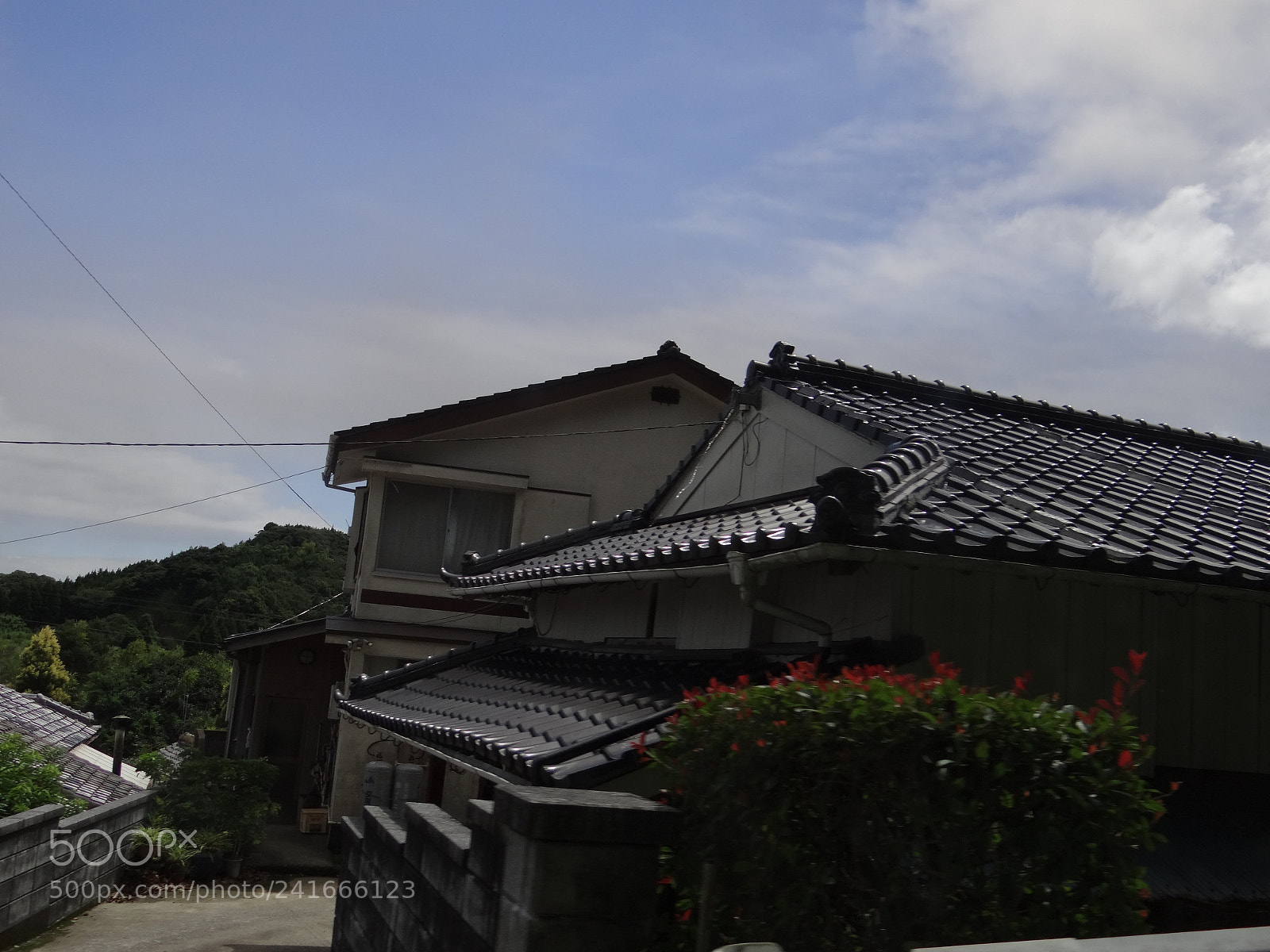 Sony DSC-HX200V sample photo. Dsc photography