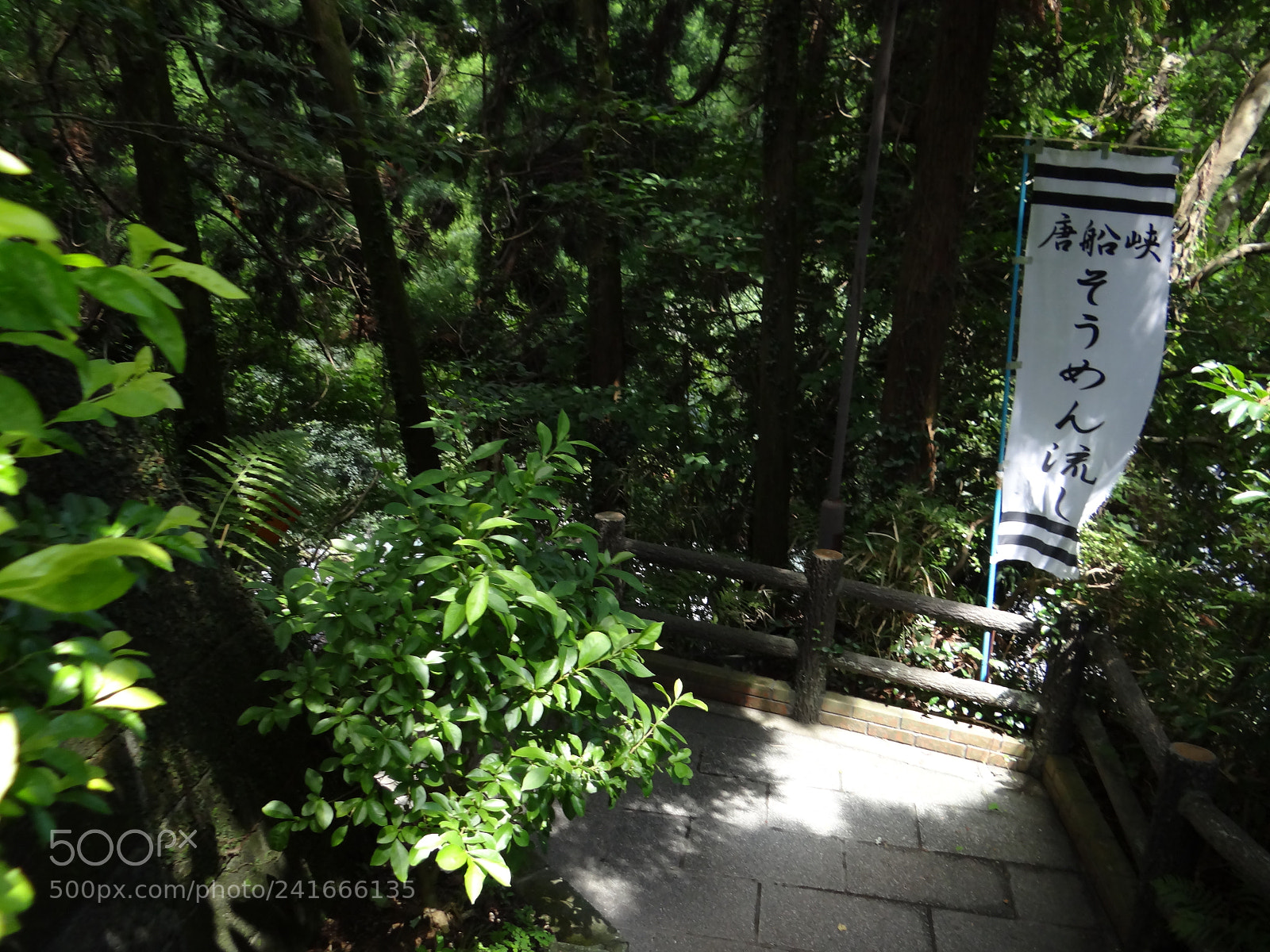Sony DSC-HX200V sample photo. Dsc photography