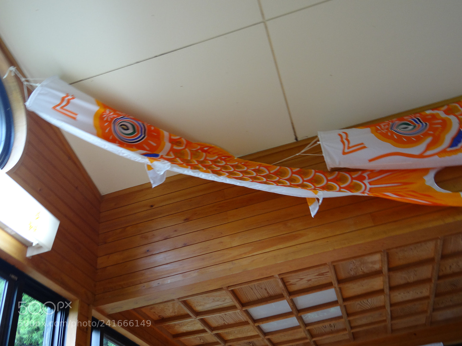 Sony DSC-HX200V sample photo. Dsc photography