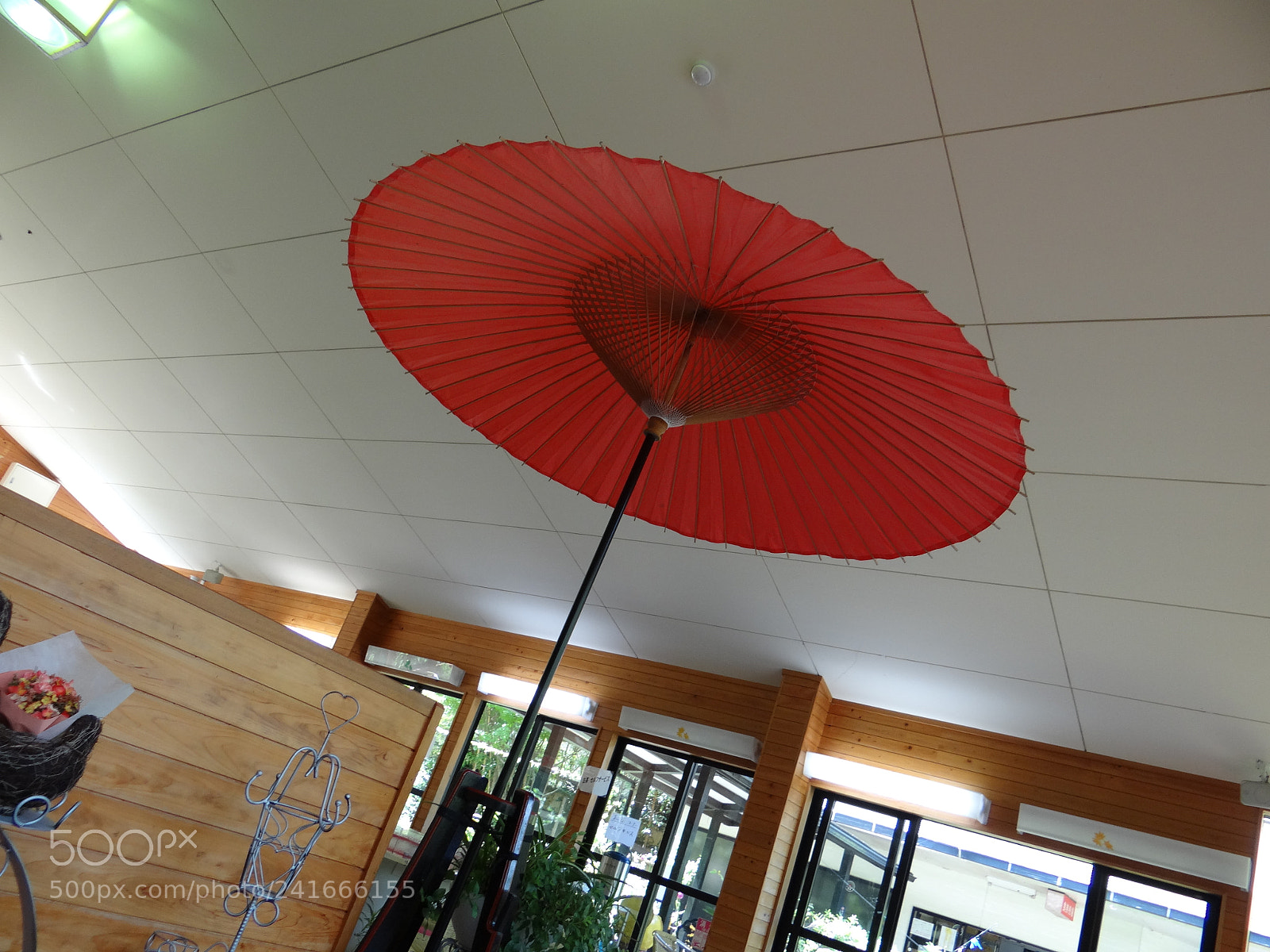 Sony DSC-HX200V sample photo. Dsc photography