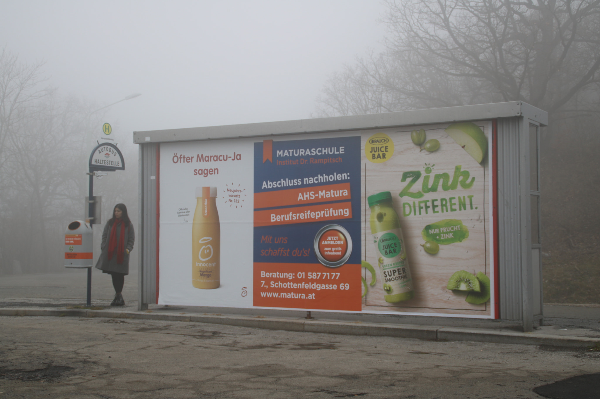 Canon EOS 750D (EOS Rebel T6i / EOS Kiss X8i) sample photo. Waiting foggy photography