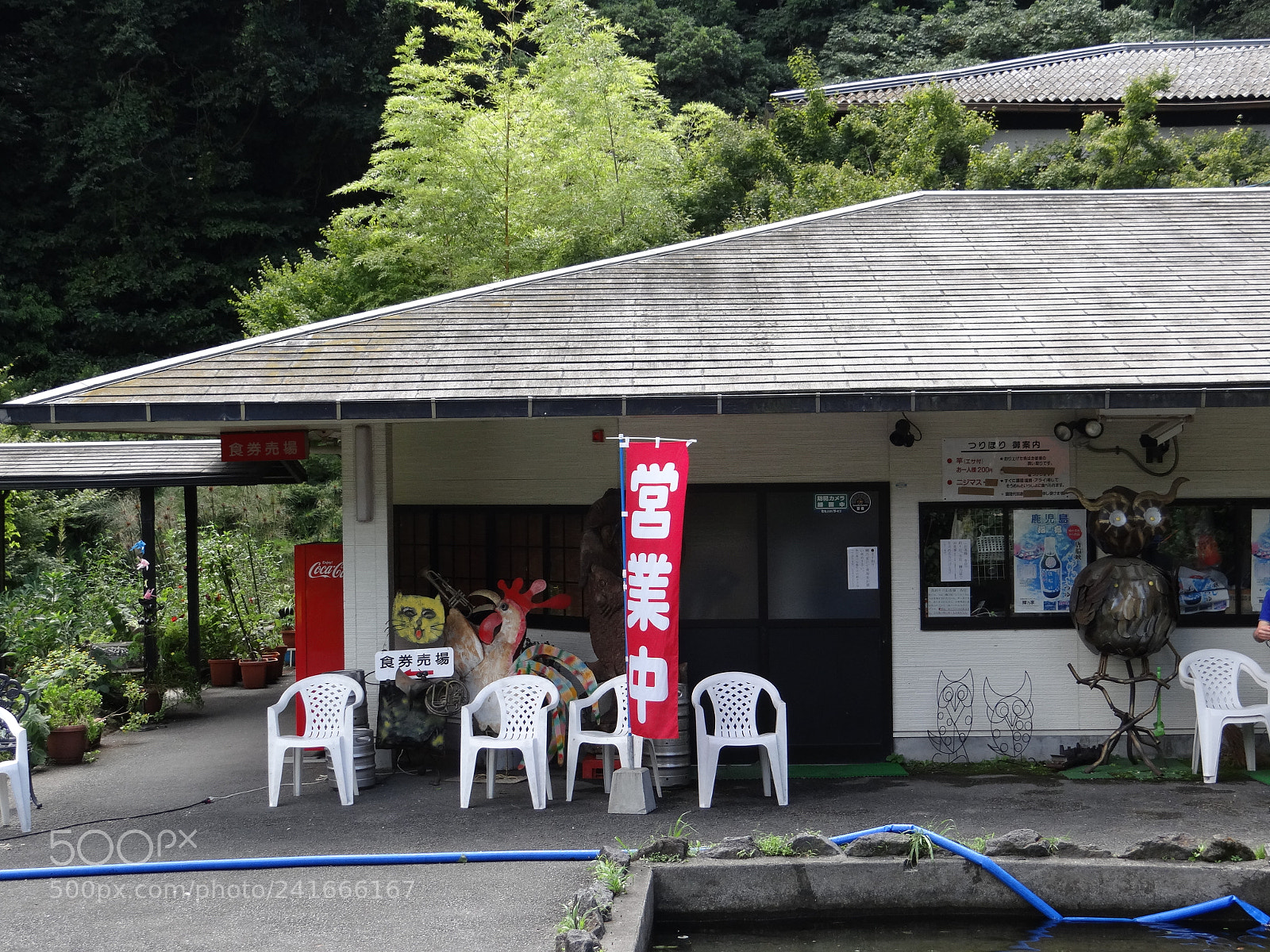 Sony DSC-HX200V sample photo. Dsc photography
