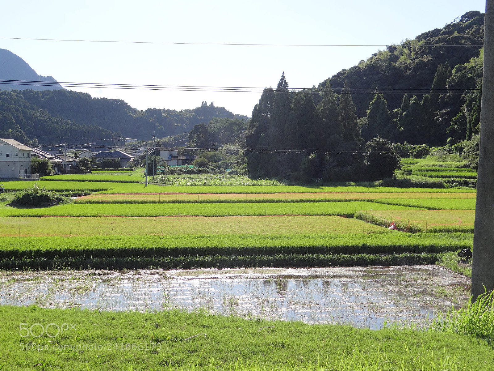 Sony DSC-HX200V sample photo. Dsc photography