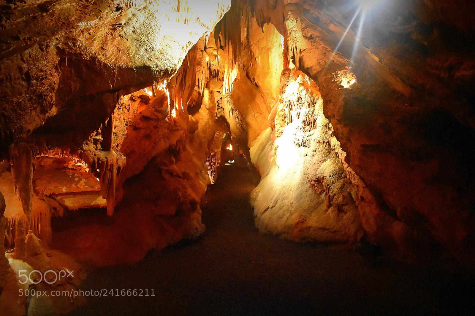 Nikon D3400 sample photo. Under the ground photography