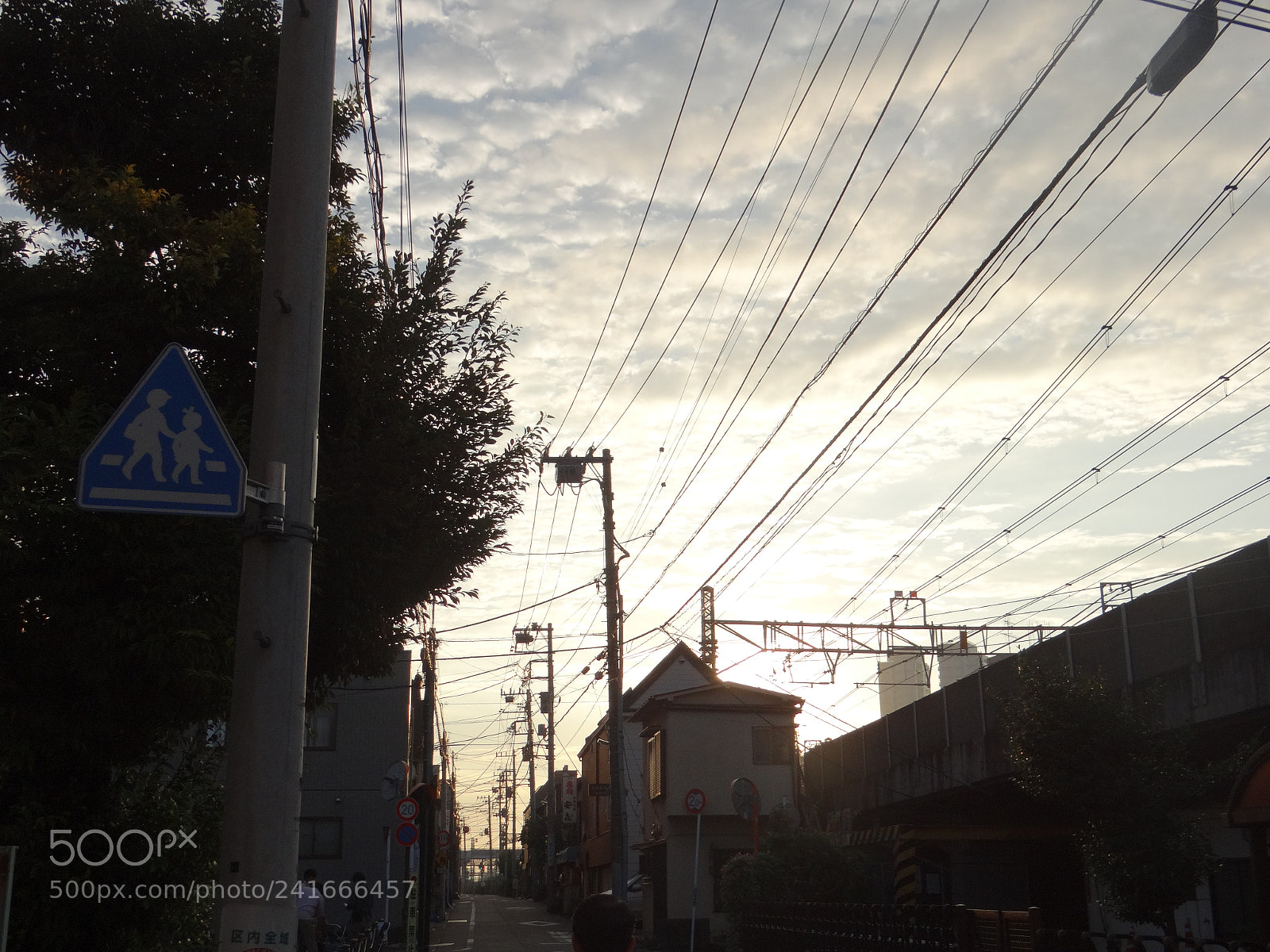 Sony DSC-HX200V sample photo. Dsc photography