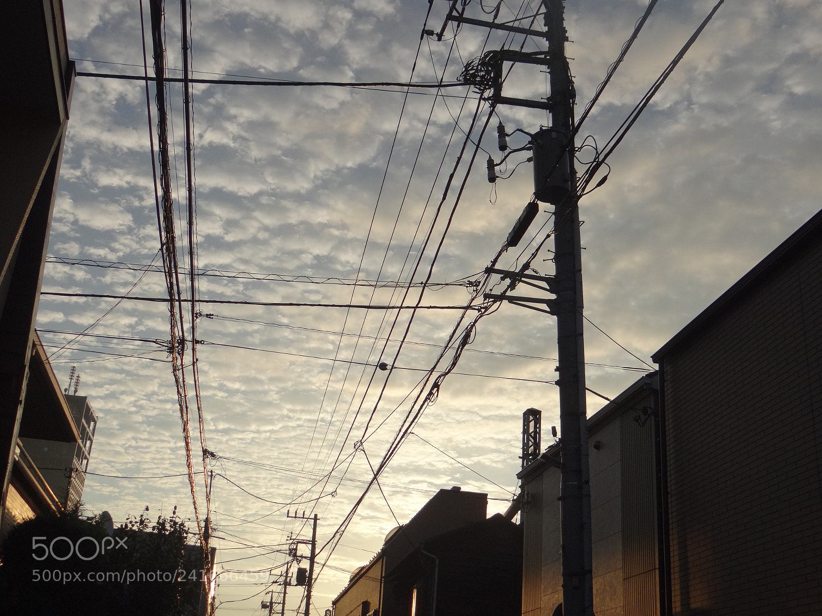 Sony DSC-HX200V sample photo. Dsc photography