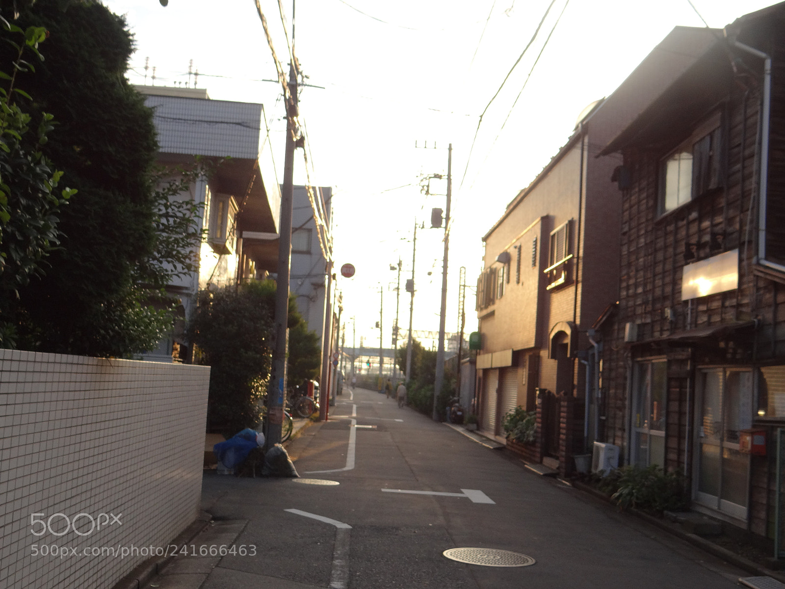 Sony DSC-HX200V sample photo. Dsc photography