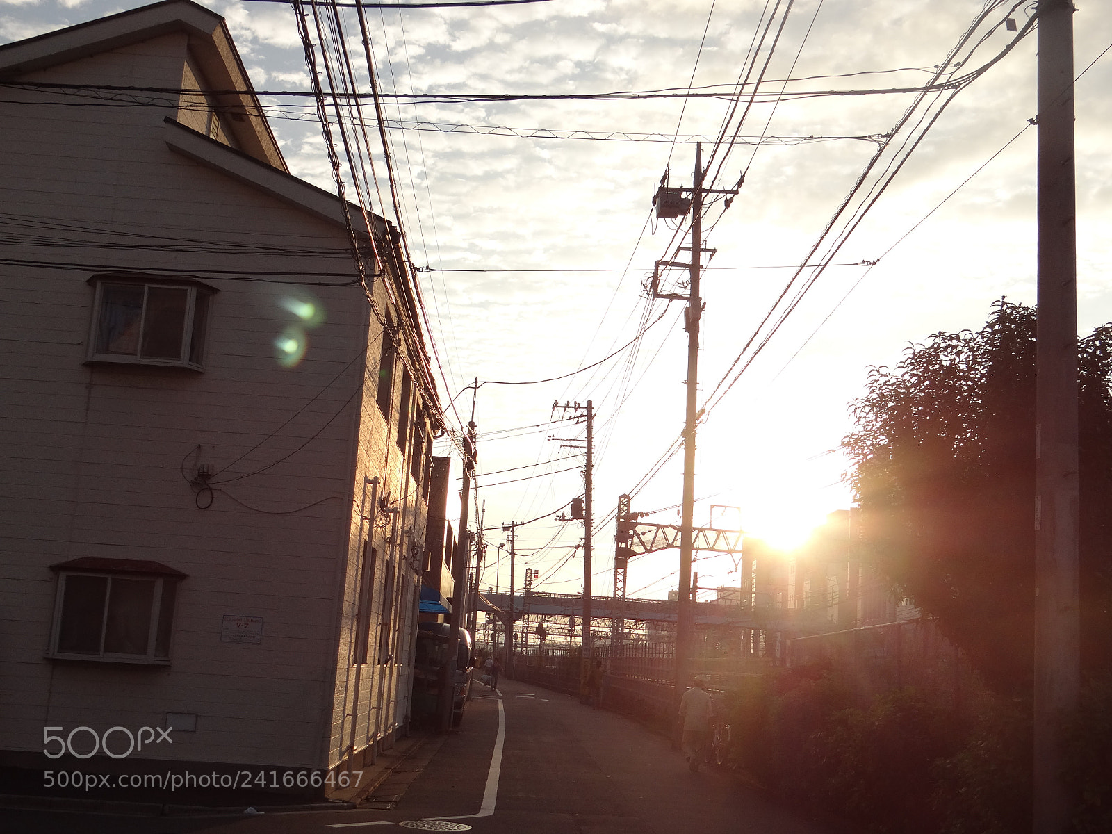 Sony DSC-HX200V sample photo. Dsc photography