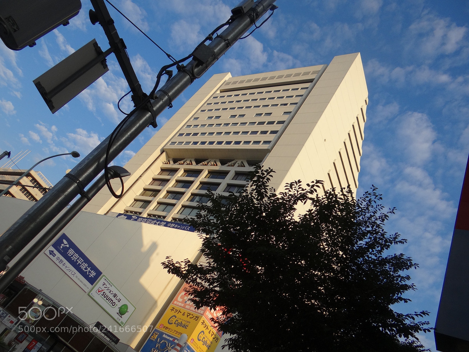 Sony DSC-HX200V sample photo. Dsc photography