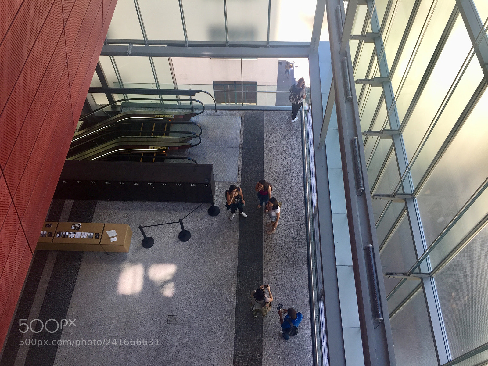 Apple iPhone 6 sample photo. Untitled photography