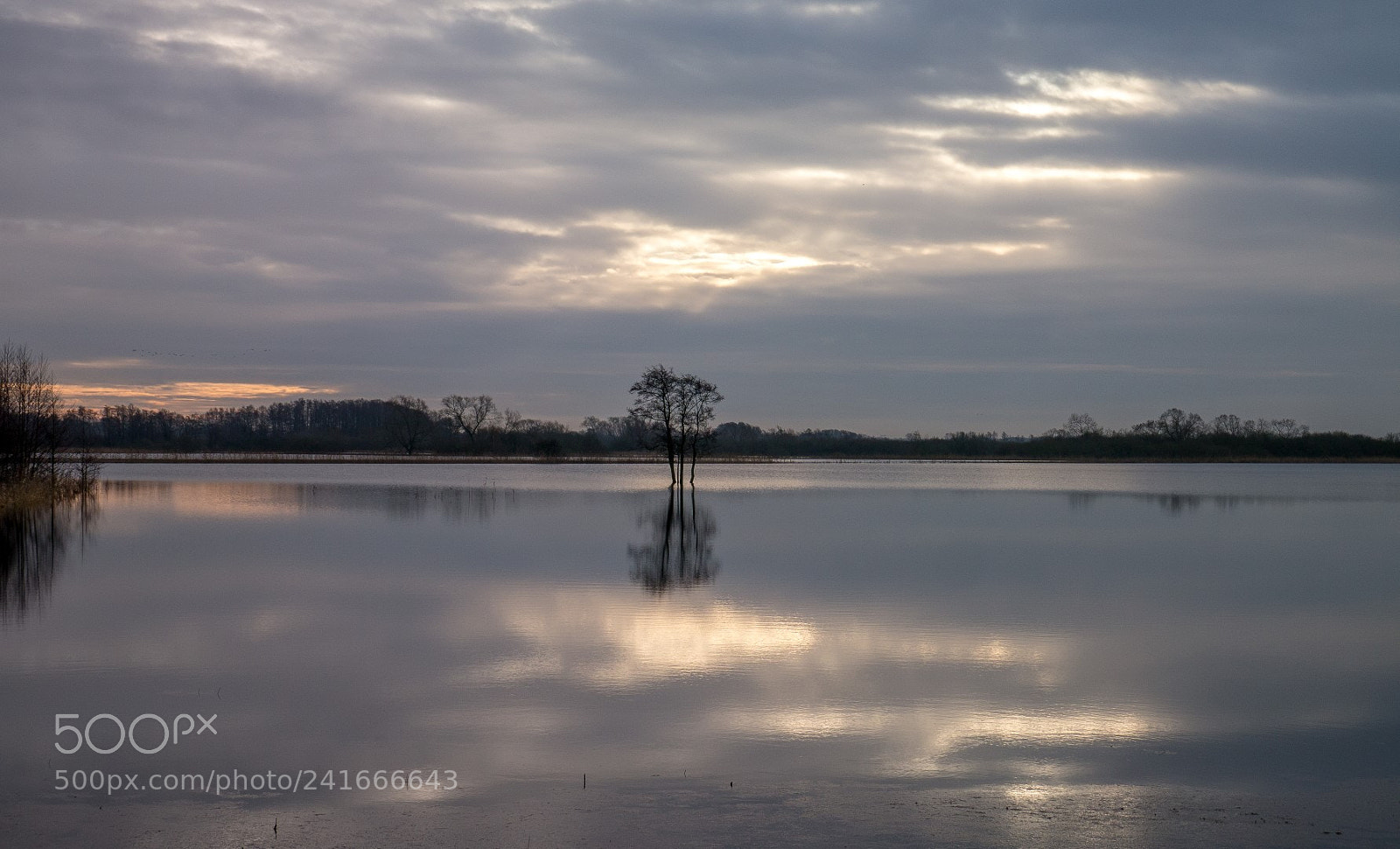 Panasonic Lumix DMC-GX1 sample photo. Flooded pasture photography