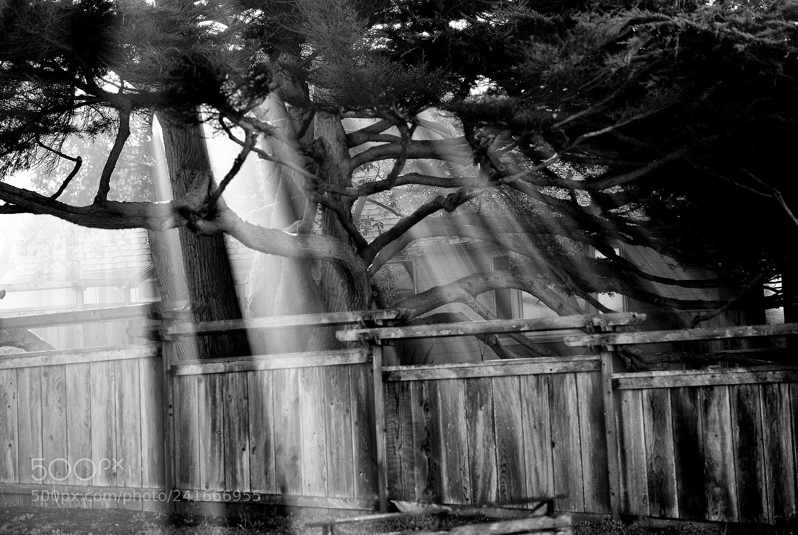 Nikon D700 sample photo. Morning light photography