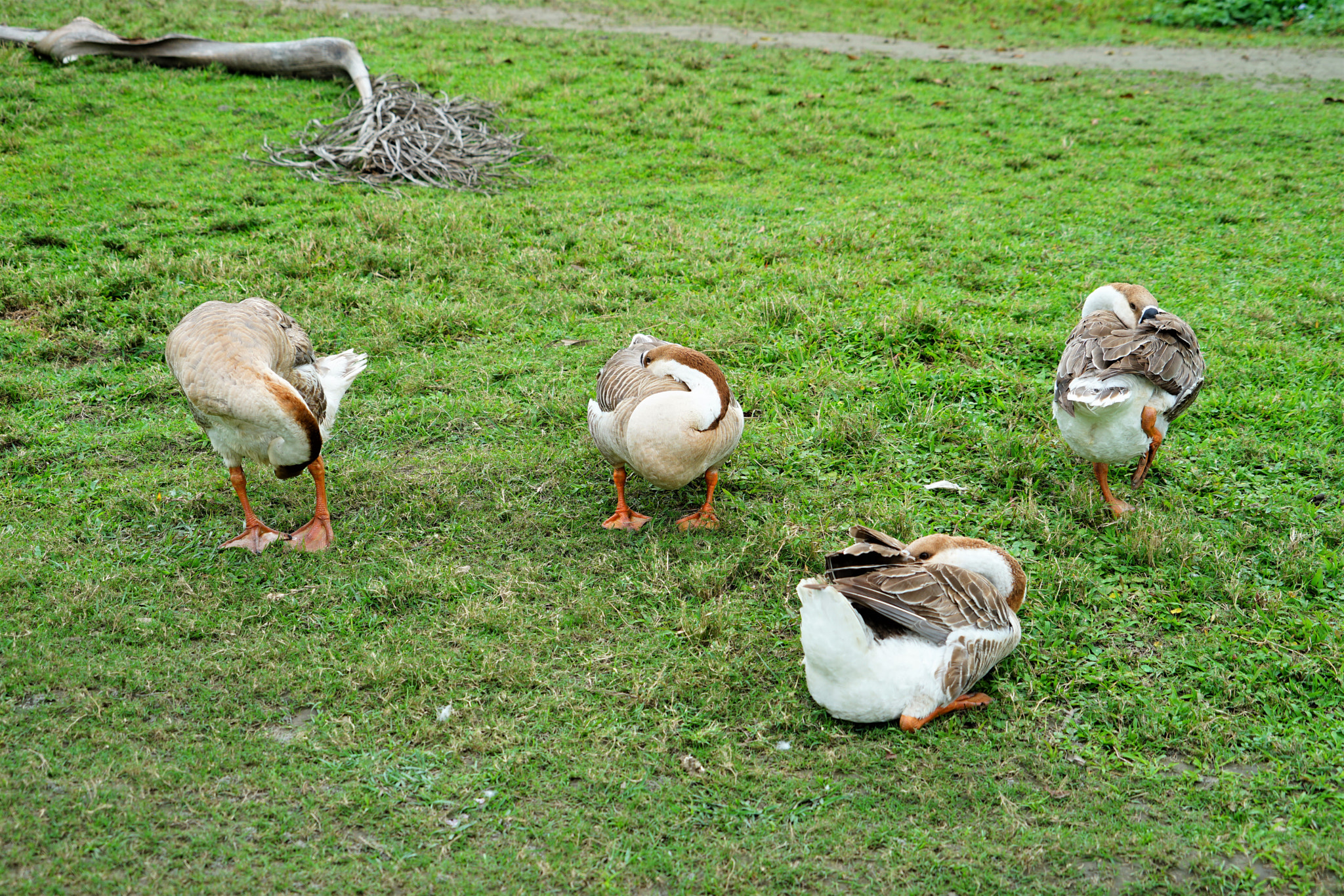 Sony FE 28-70mm F3.5-5.6 OSS sample photo. No photo please! photography