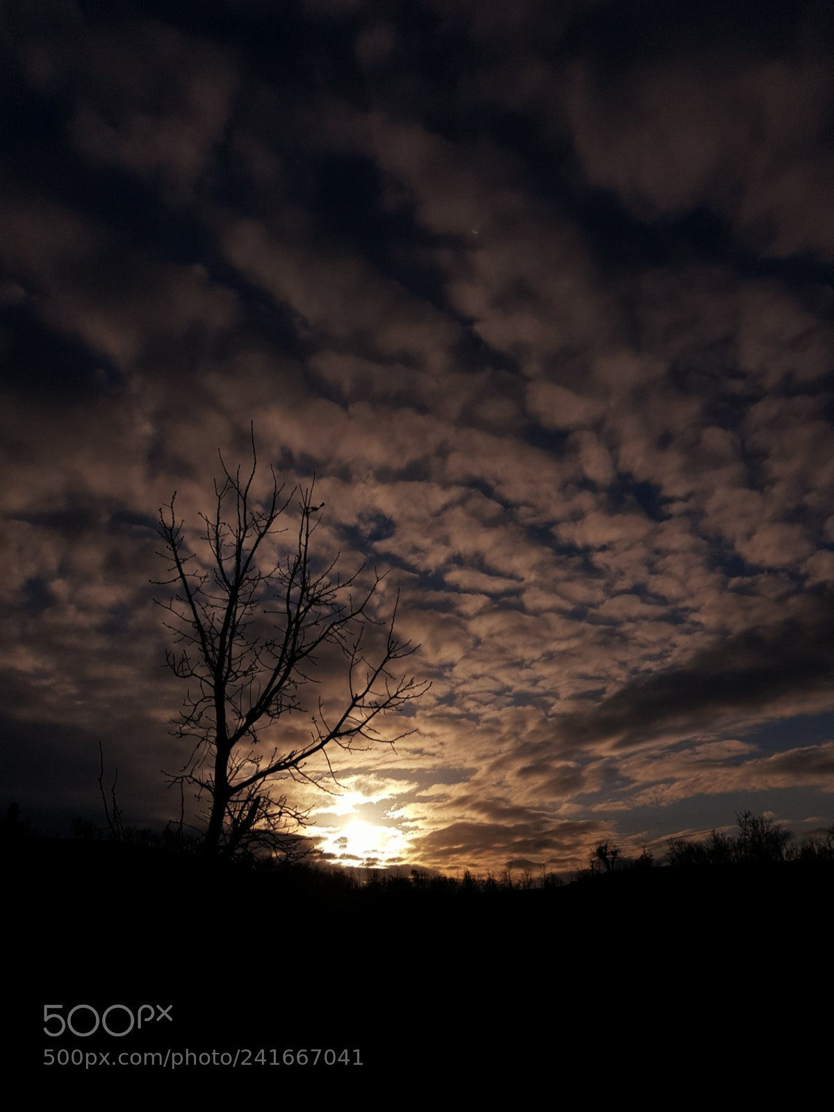 Samsung Galaxy S8+ sample photo. Untitled photography