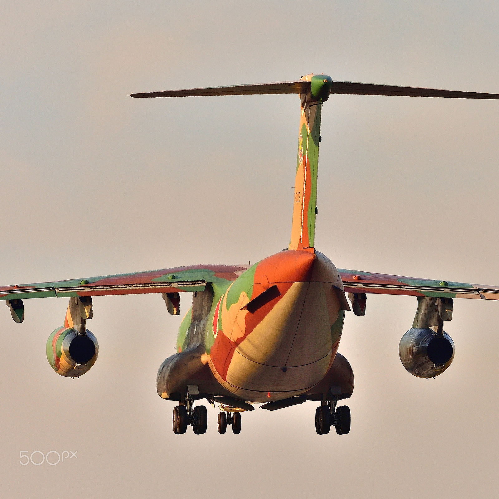 Nikon AF-S Nikkor 200-500mm F5.6E ED VR sample photo. C-1 landing photography
