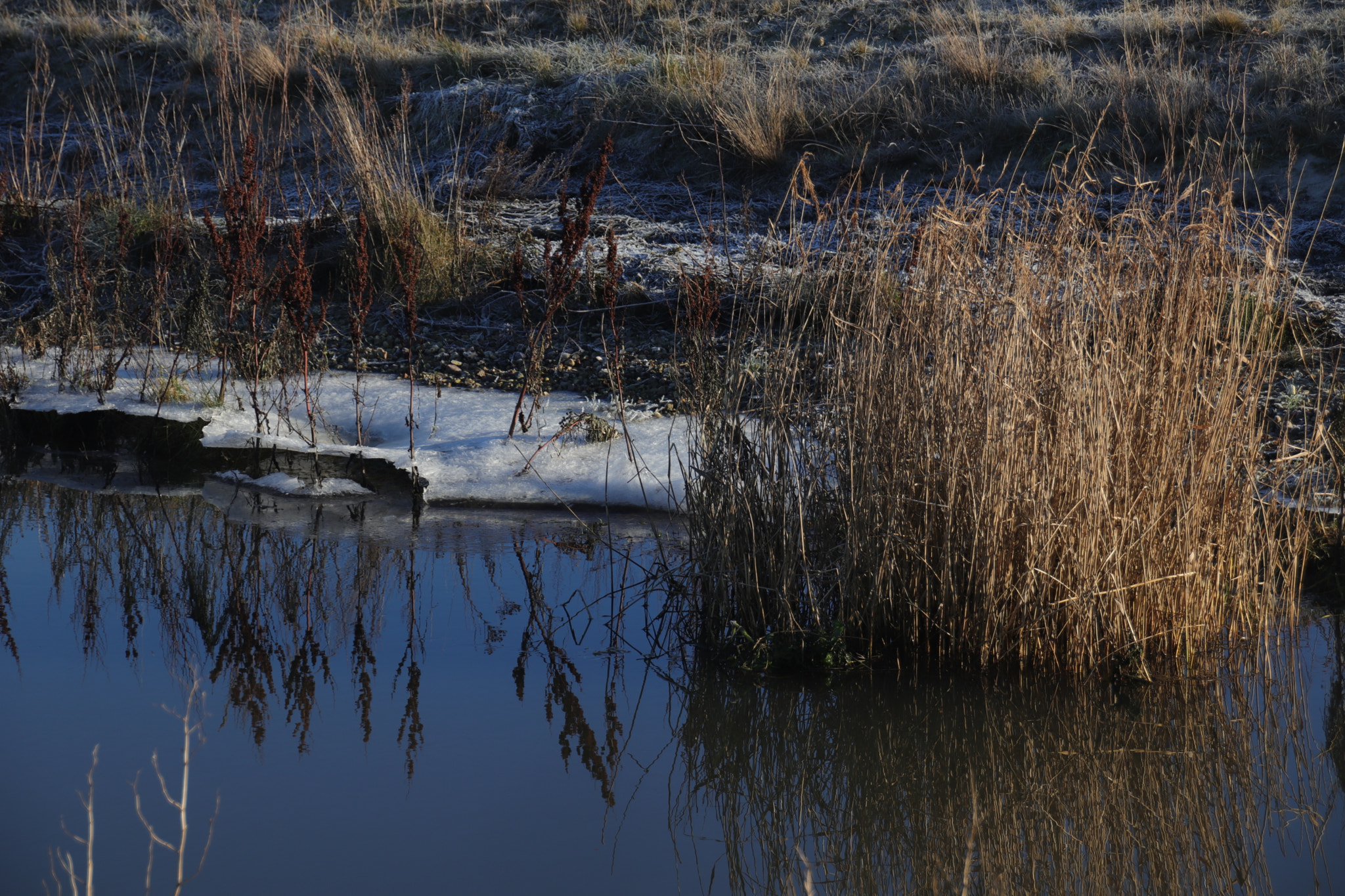 Canon EOS 77D (EOS 9000D / EOS 770D) + Sigma 18-250mm F3.5-6.3 DC OS HSM sample photo. Winter river photography