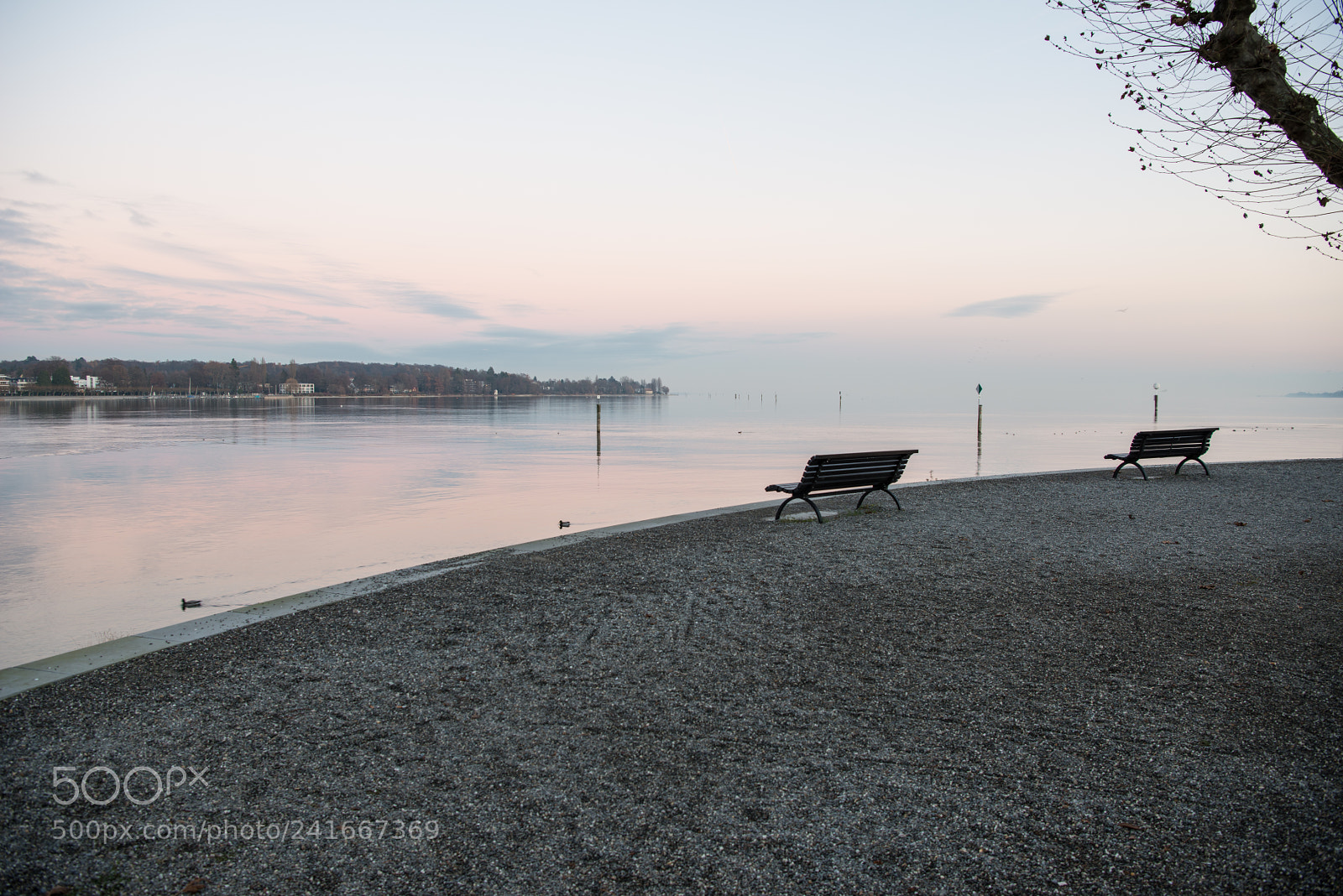 Nikon D800 sample photo. Bench photography