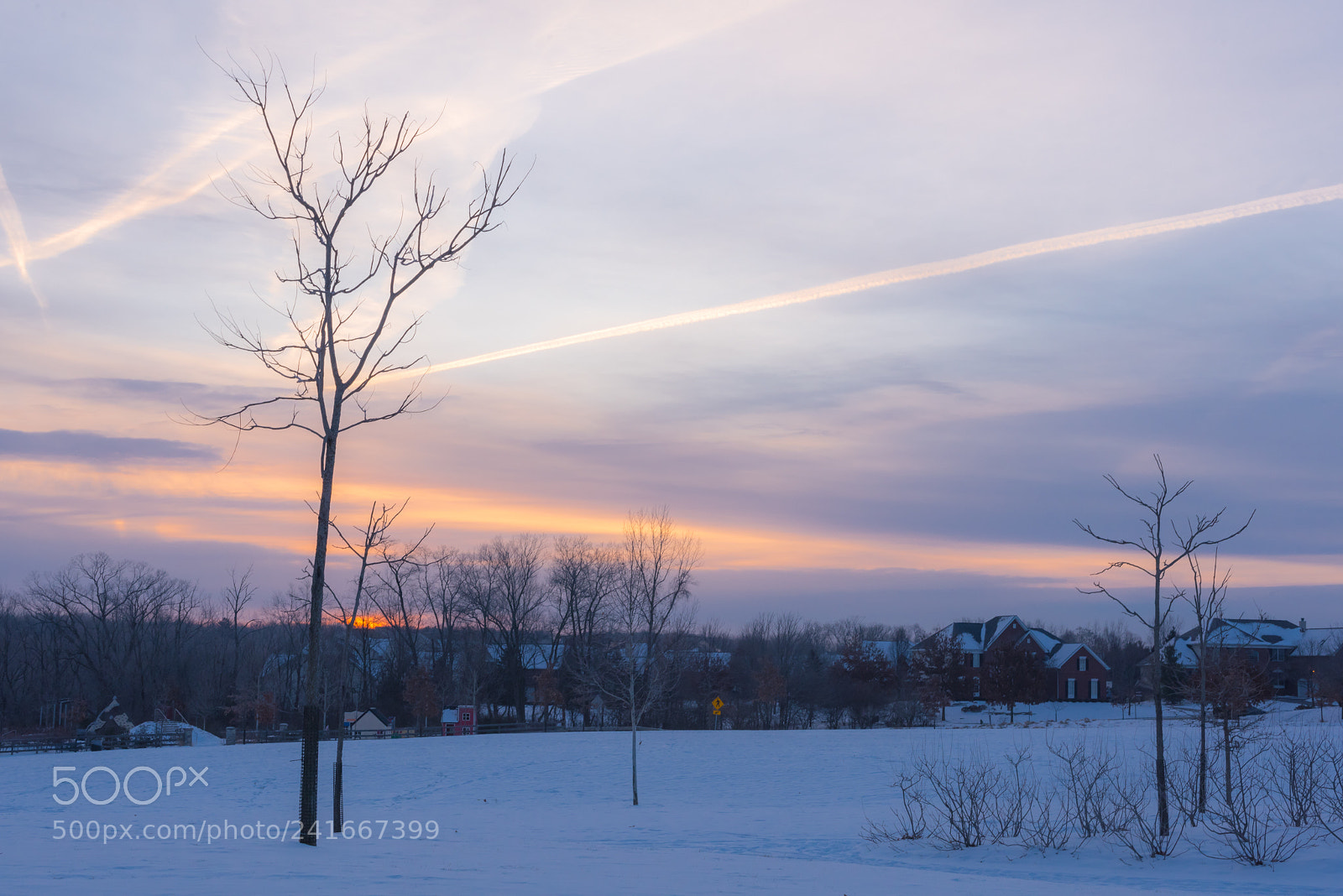 Nikon D810 sample photo. Amberleigh park photography