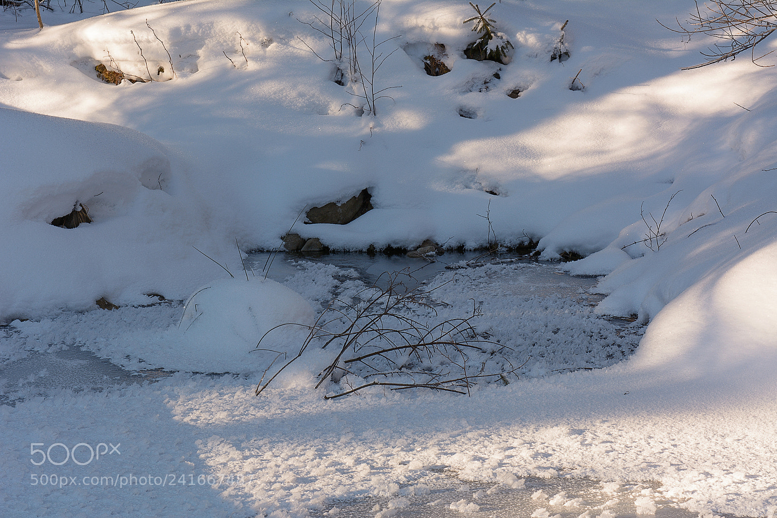 Nikon D7100 sample photo. Winter photography