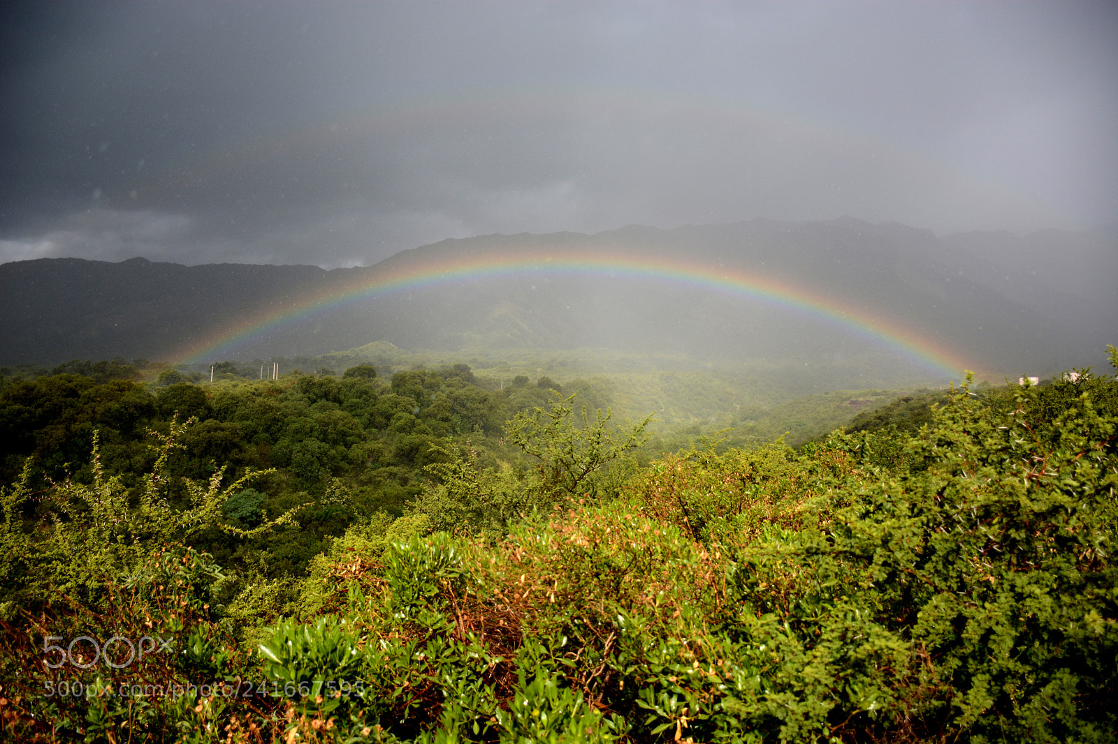 Nikon D7100 sample photo. Full rainbow photography