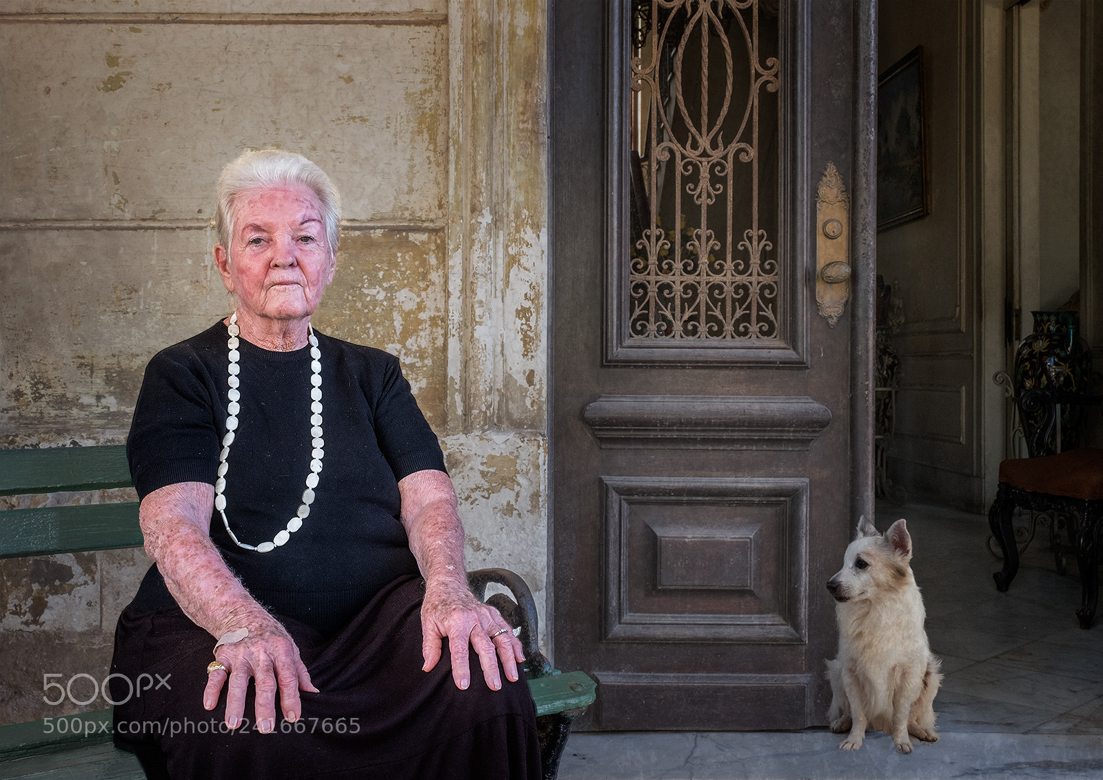Fujifilm X-T2 sample photo. The grand duchess of photography