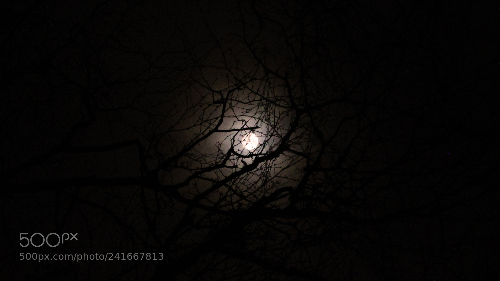 Canon EOS 500D (EOS Rebel T1i / EOS Kiss X3) sample photo. Hidden moon photography