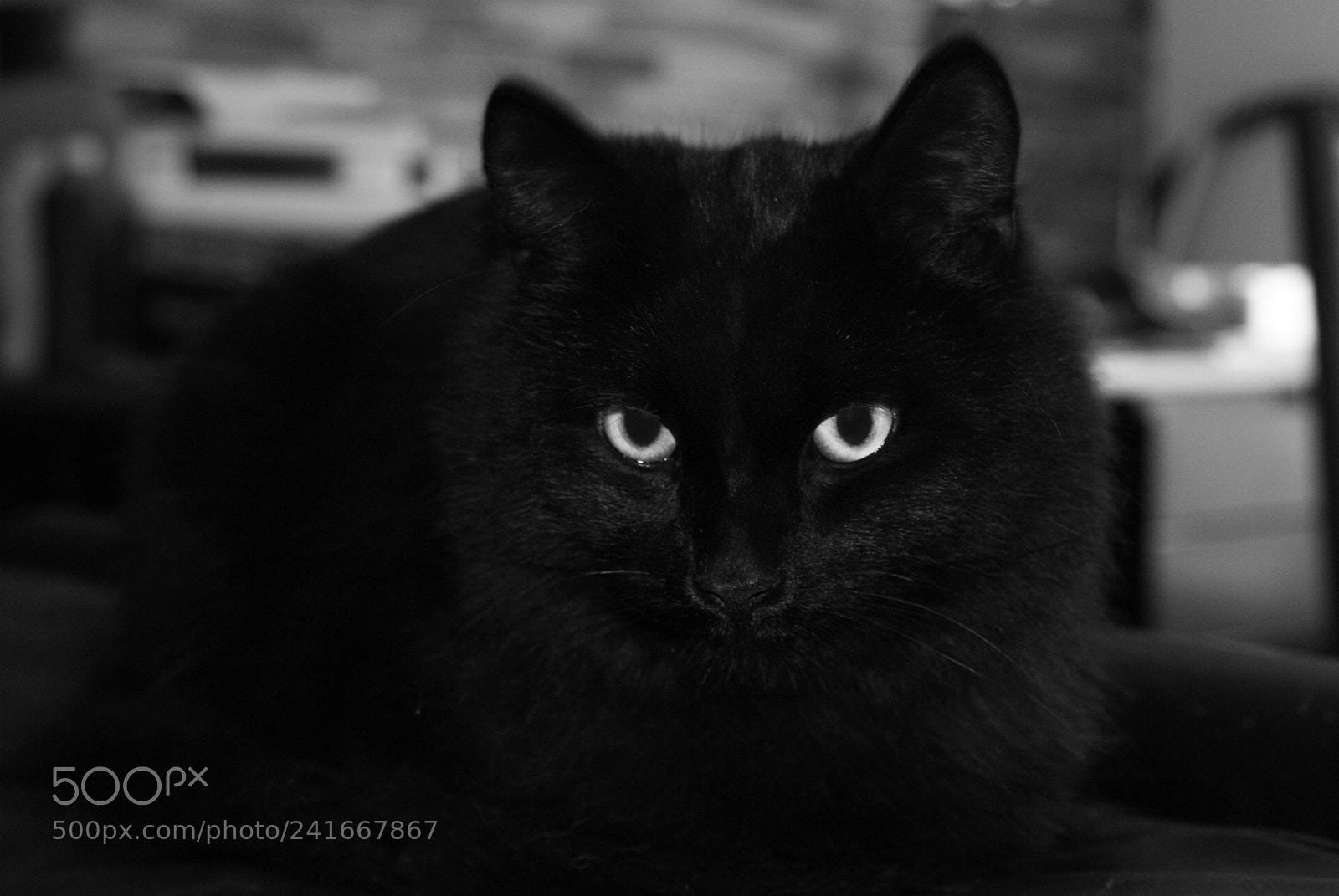 Sony Alpha DSLR-A200 sample photo. Untitled photography