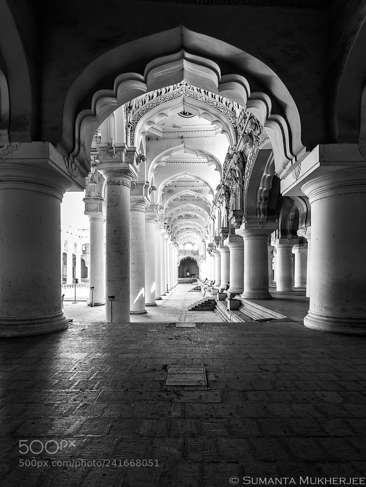 Nikon D810 sample photo. Symmetry photography