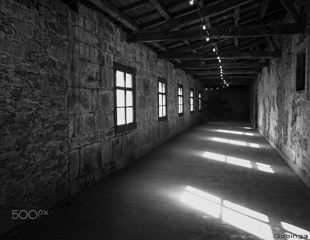 Olympus E-400 (EVOLT E-400) sample photo. The echo of emotions photography