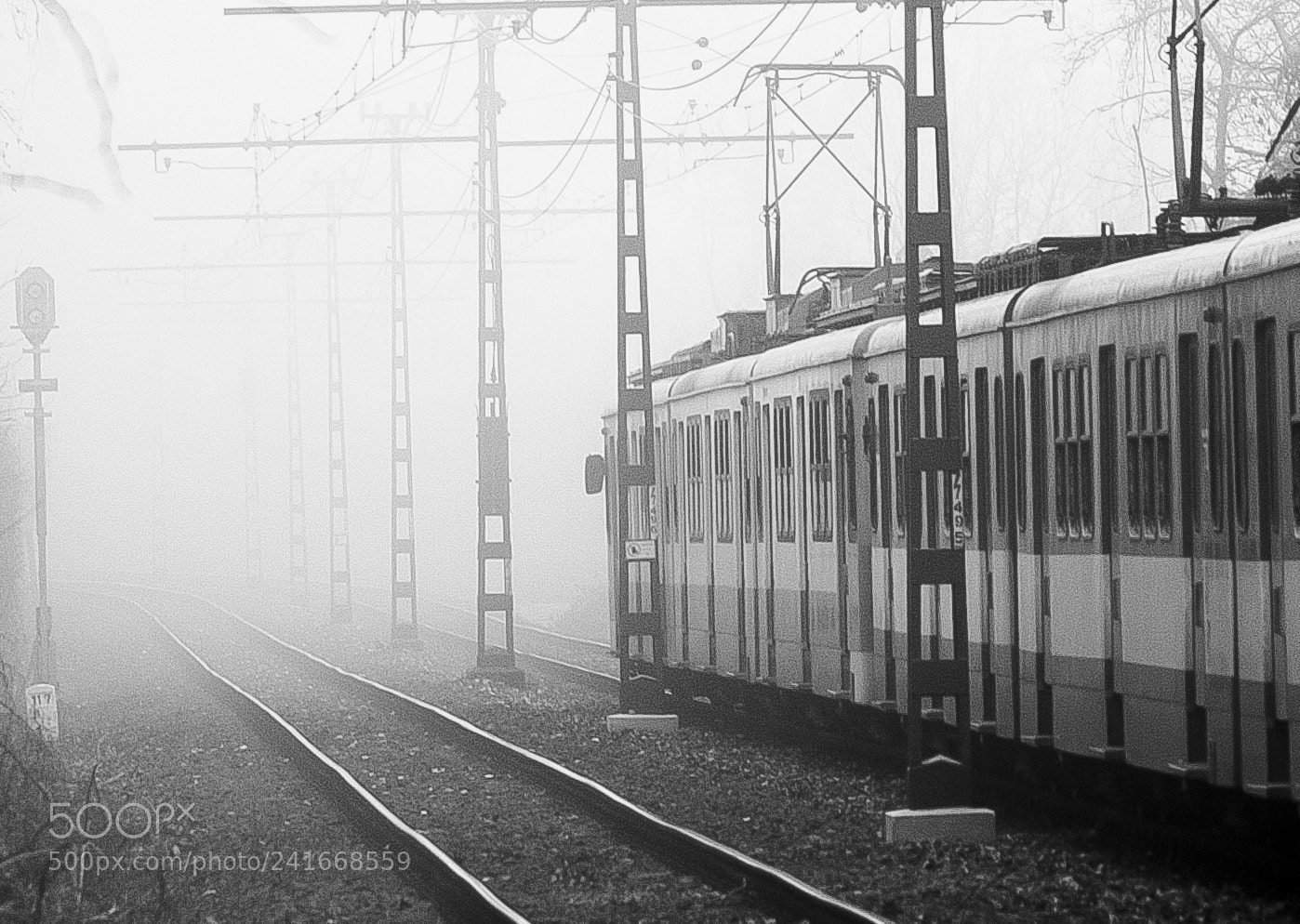 Nikon D700 sample photo. Foggy morning.. photography